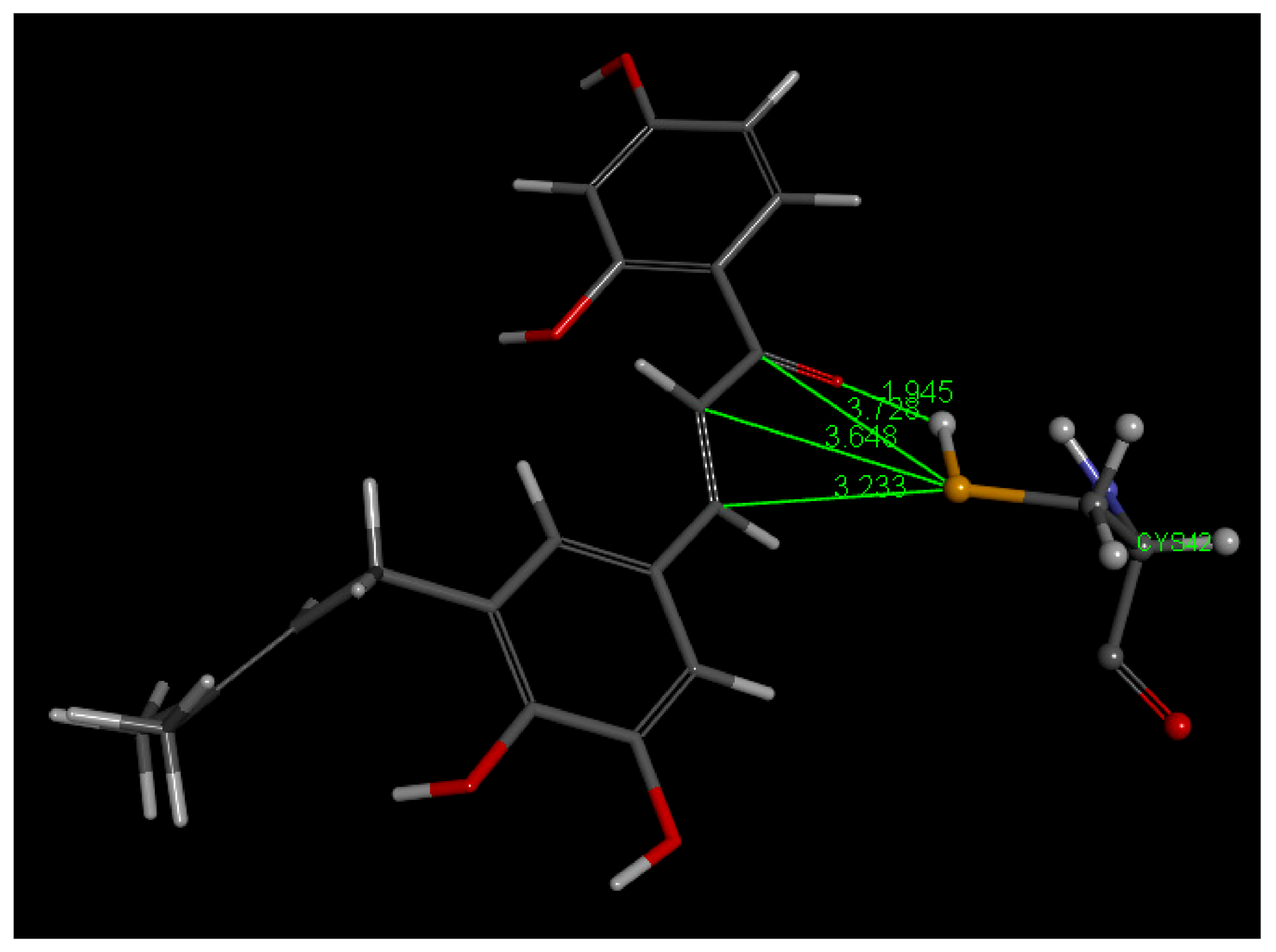 Molecules 26 06511 g026
