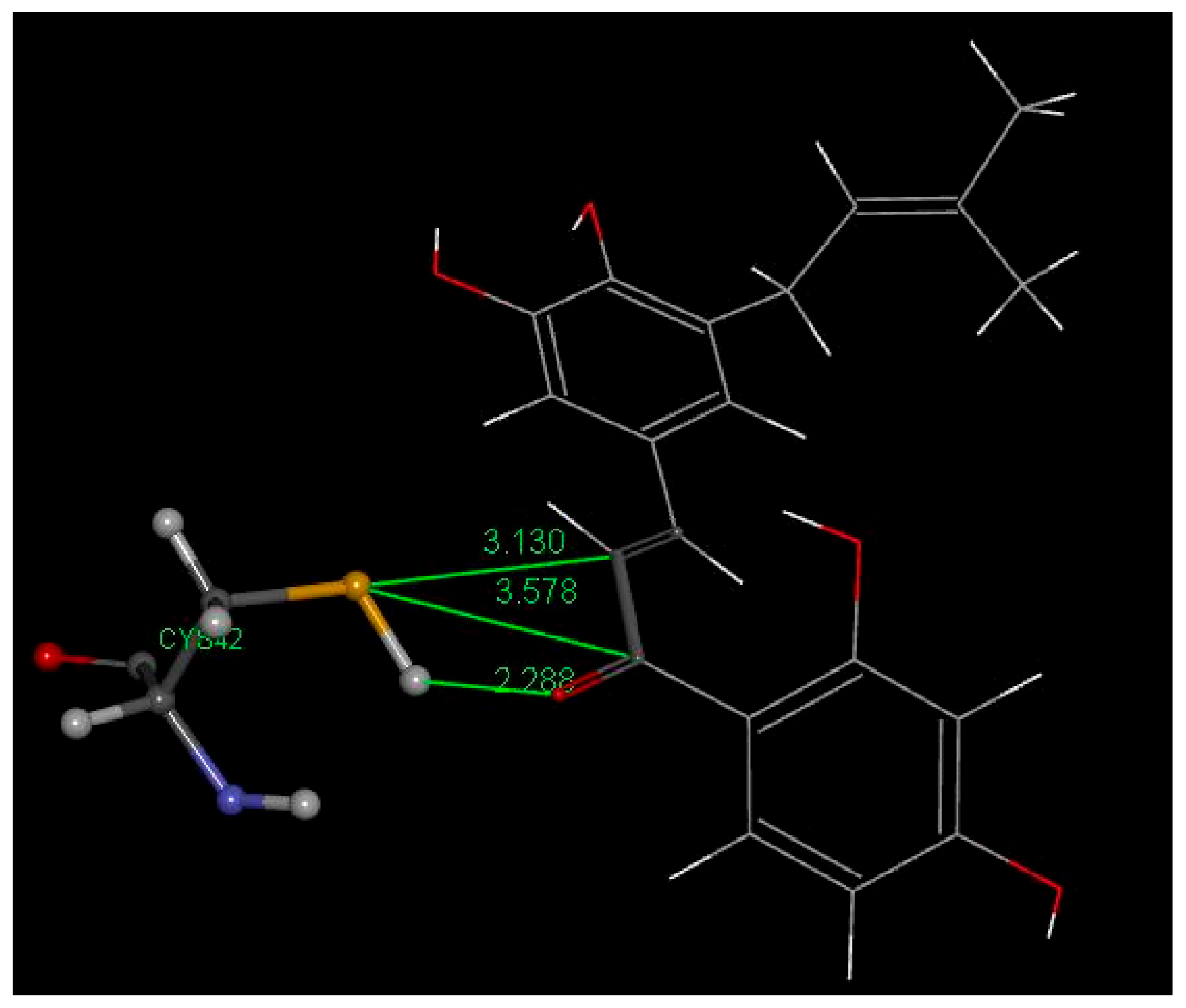 Molecules 26 06511 g027