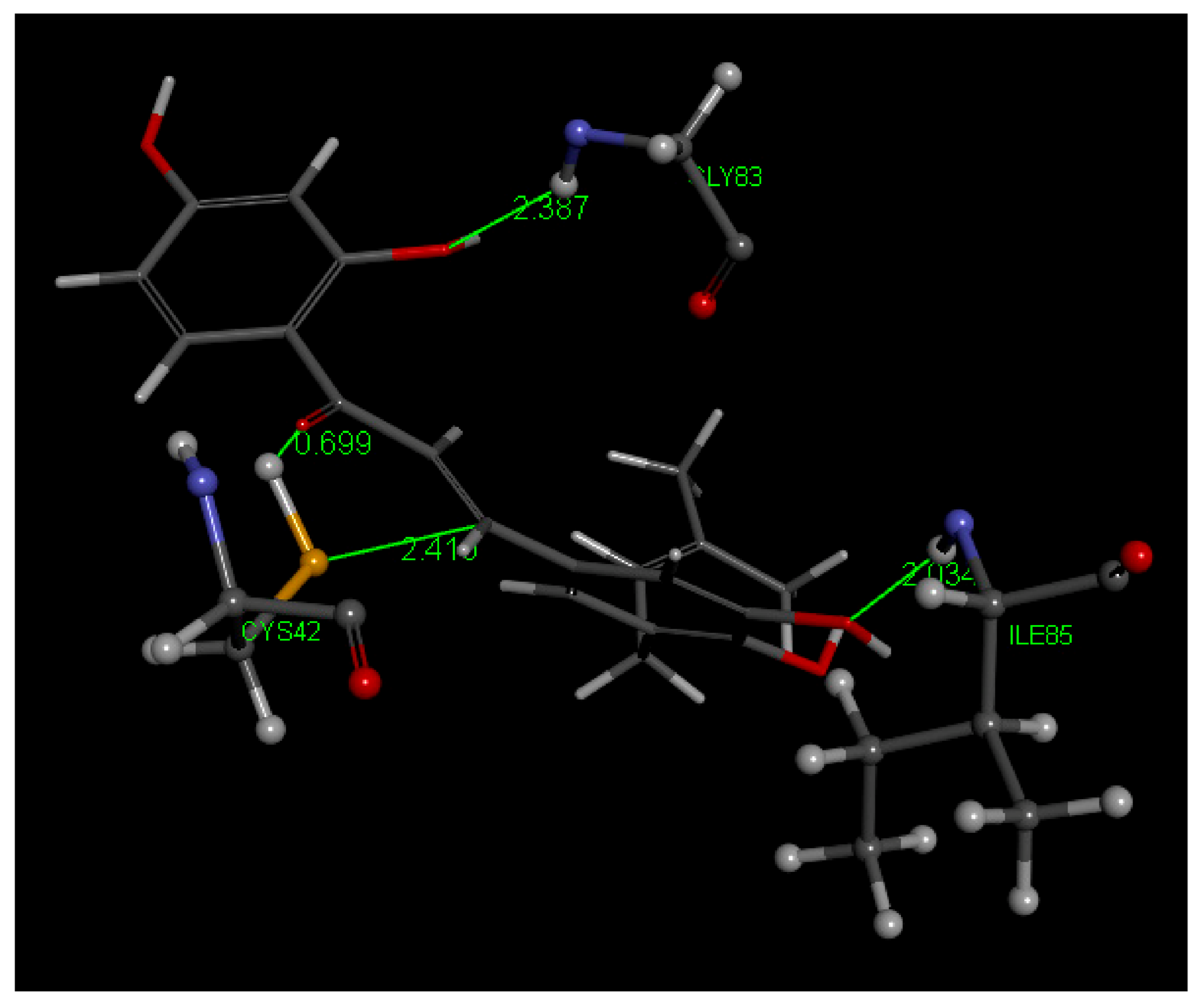 Molecules 26 06511 g028
