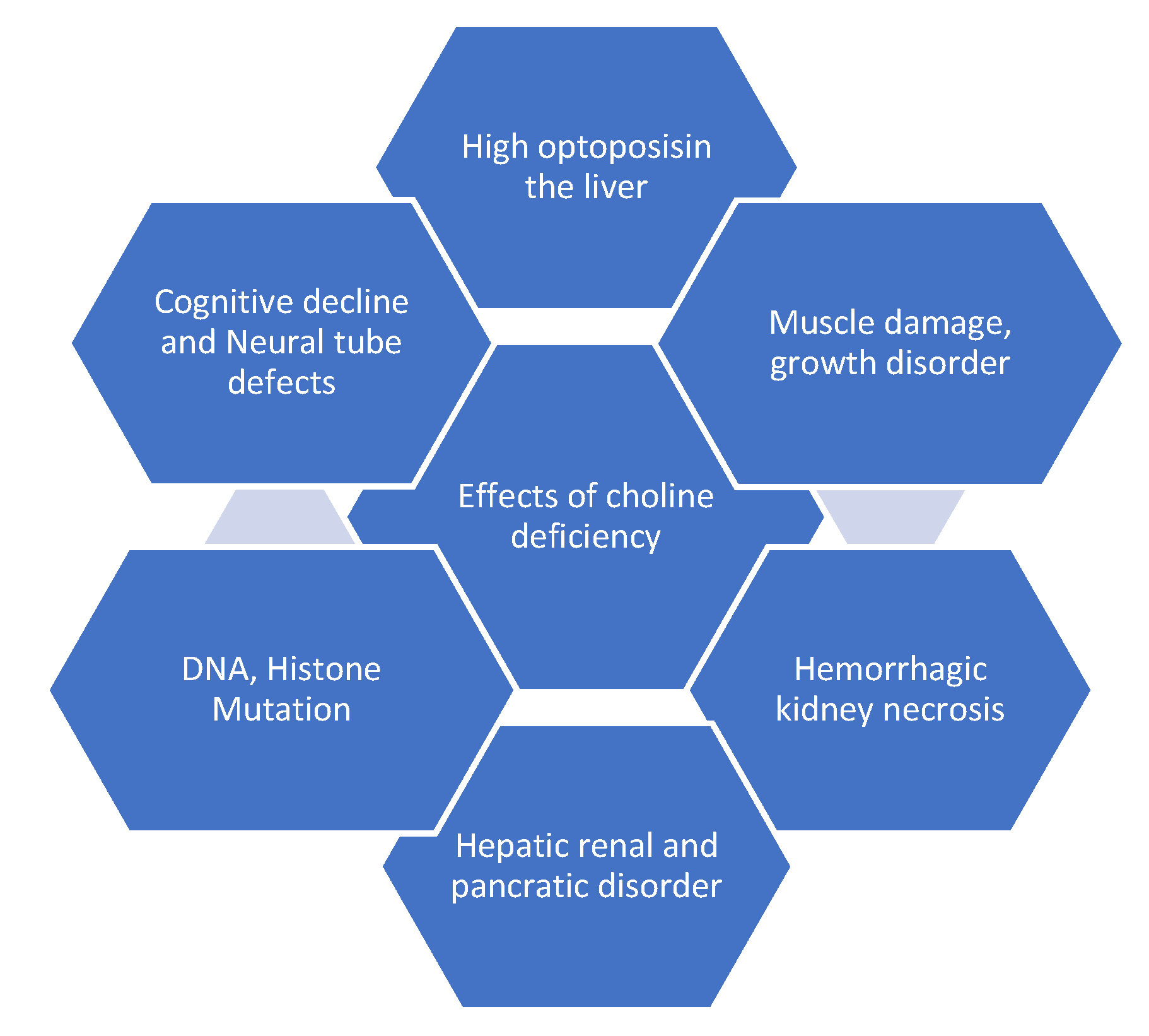 Molecules 26 06512 g003