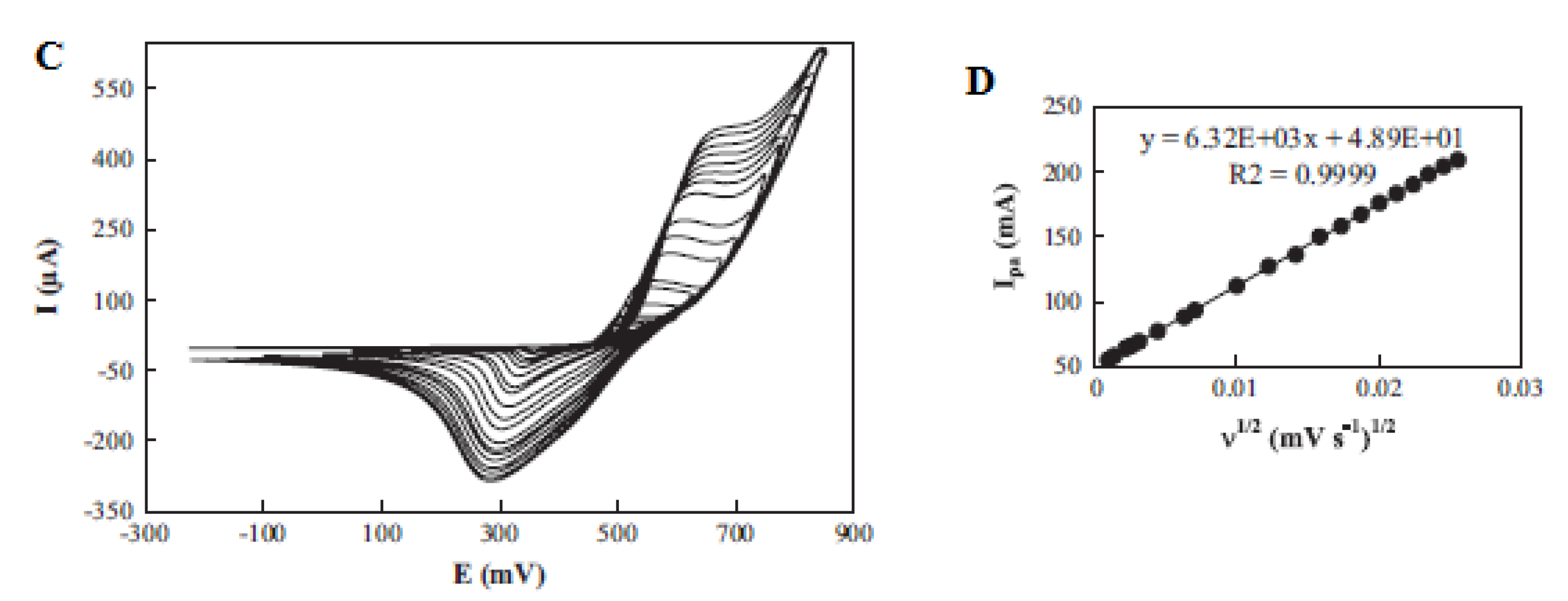 Molecules 26 06512 g009b