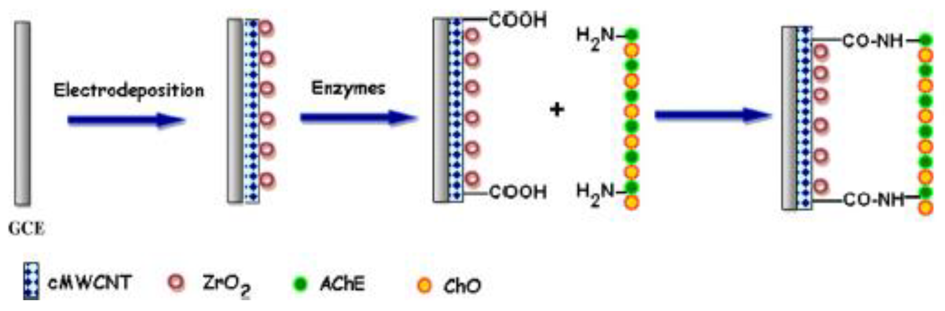 Molecules 26 06512 sch001