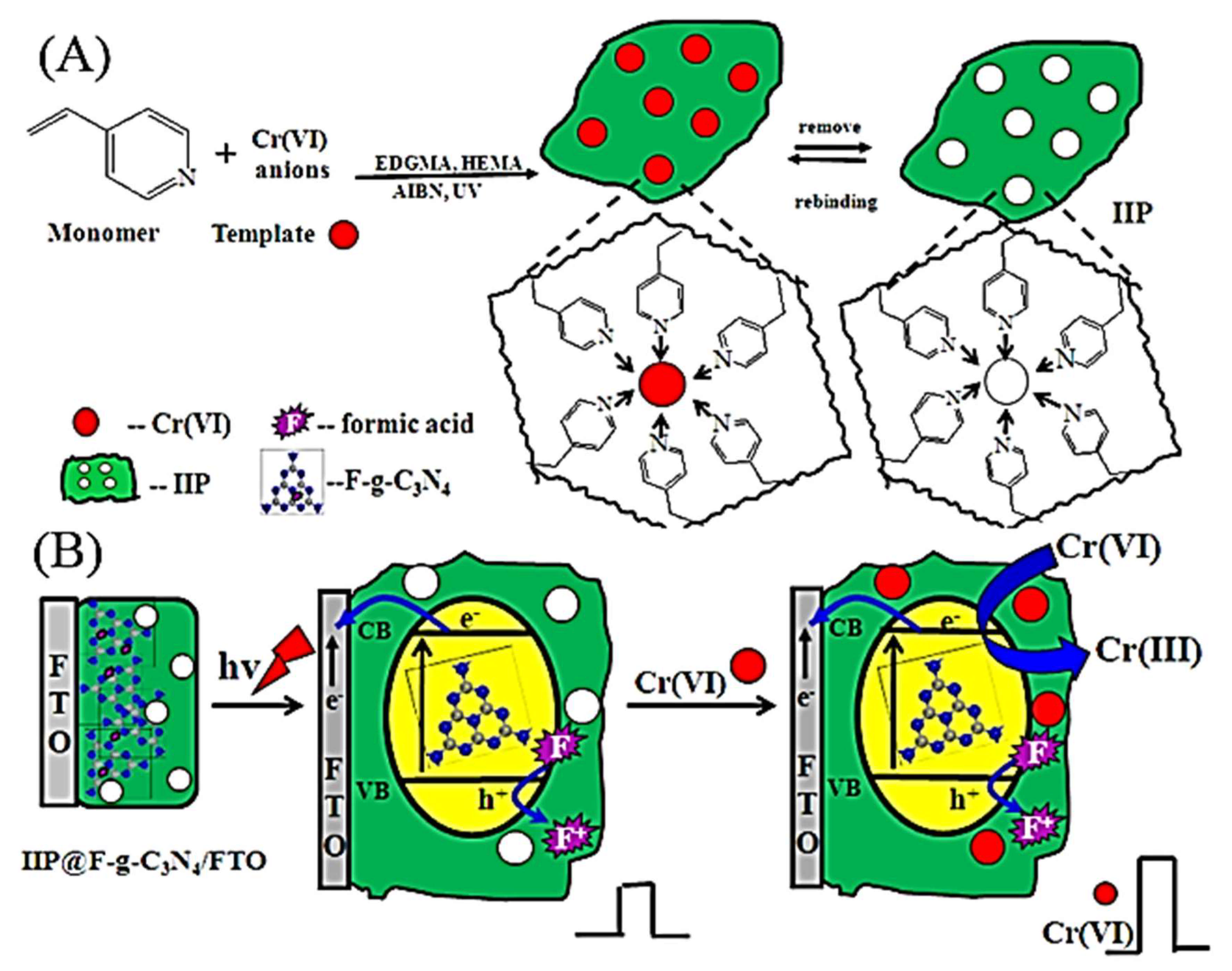 Molecules 26 06515 g005