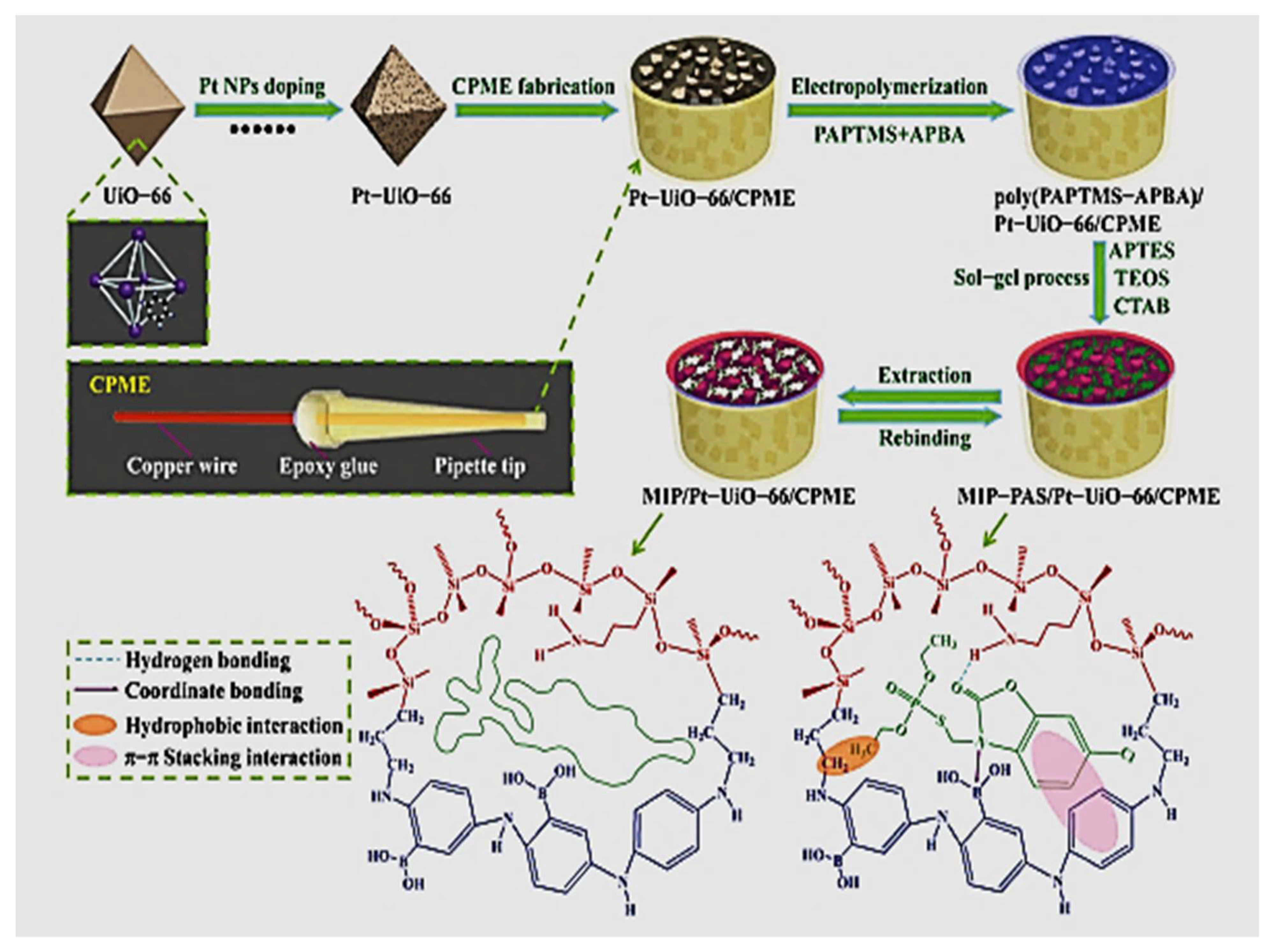 Molecules 26 06515 g006