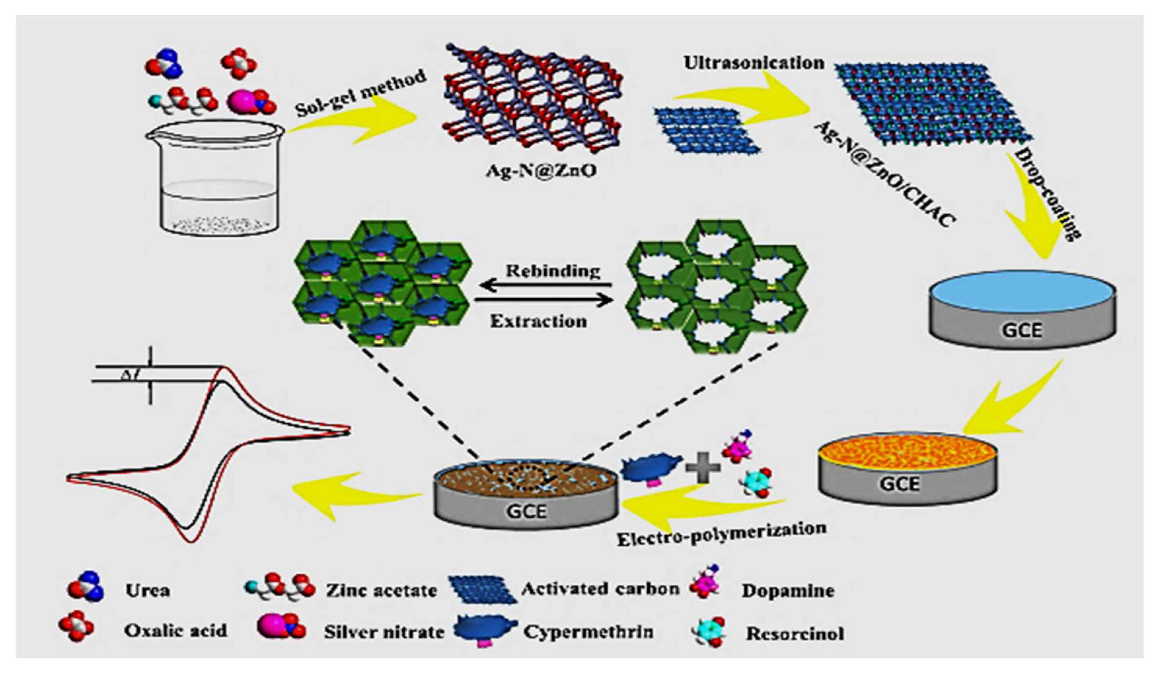 Molecules 26 06515 g007