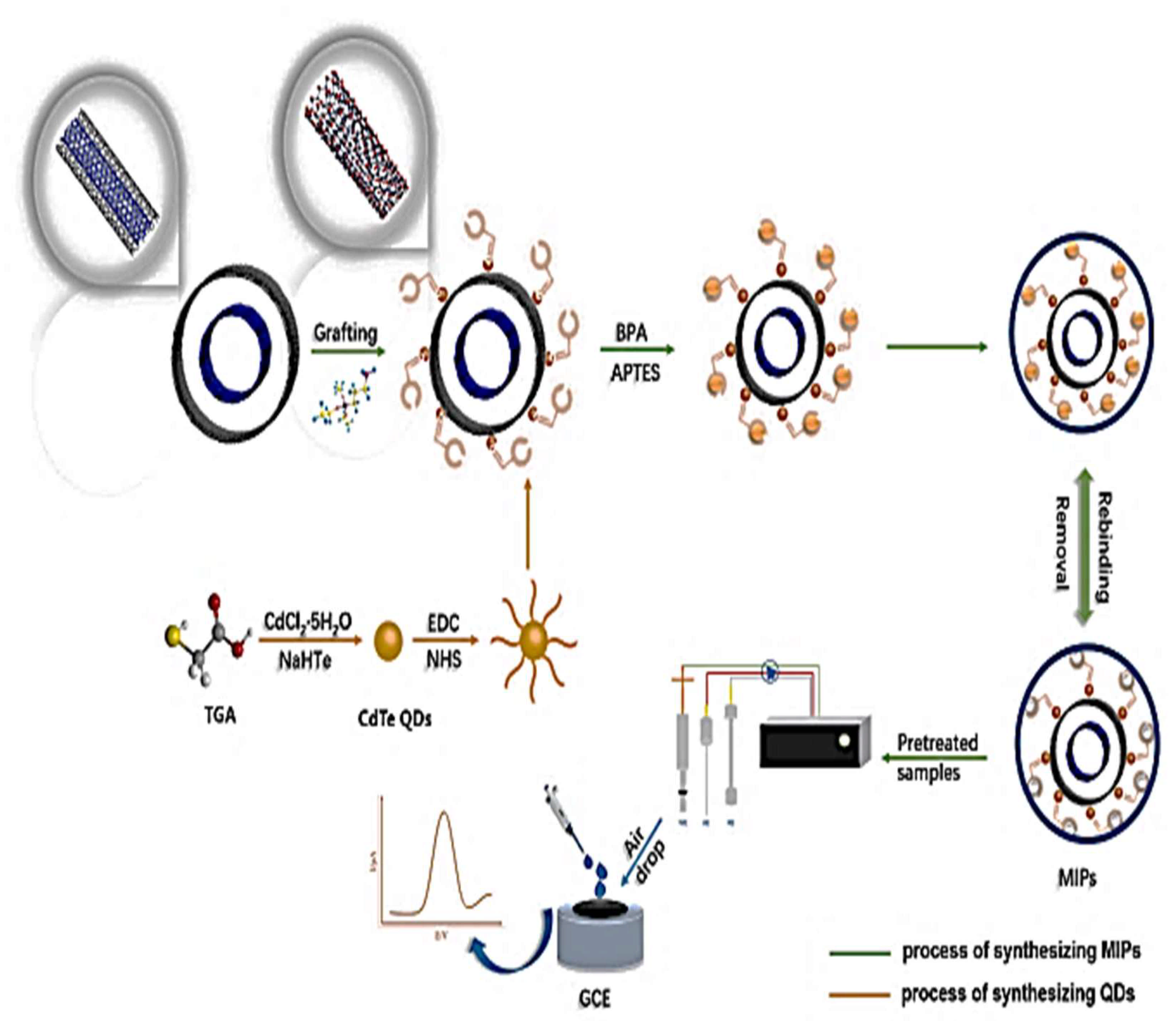 Molecules 26 06515 g009