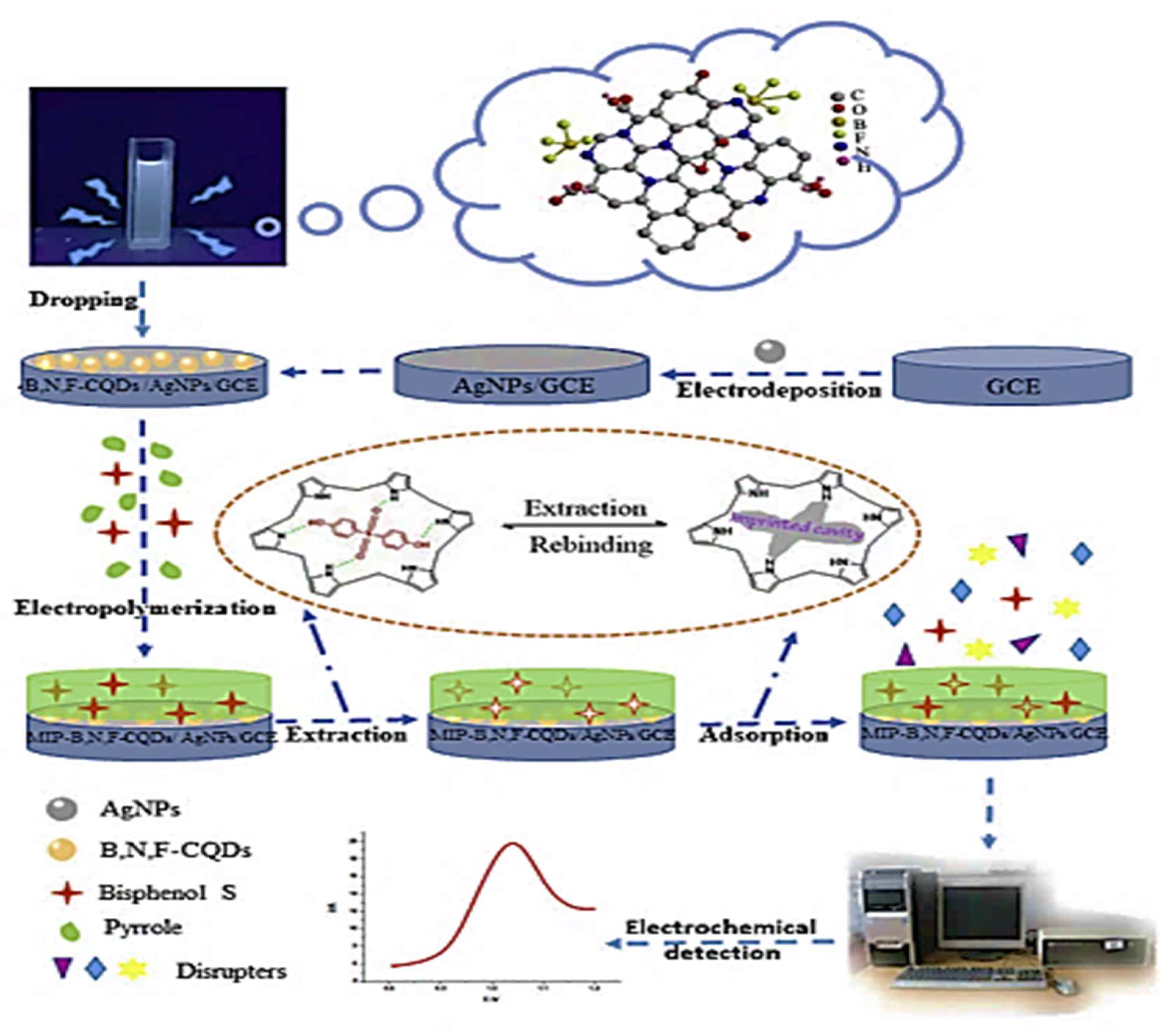 Molecules 26 06515 g010