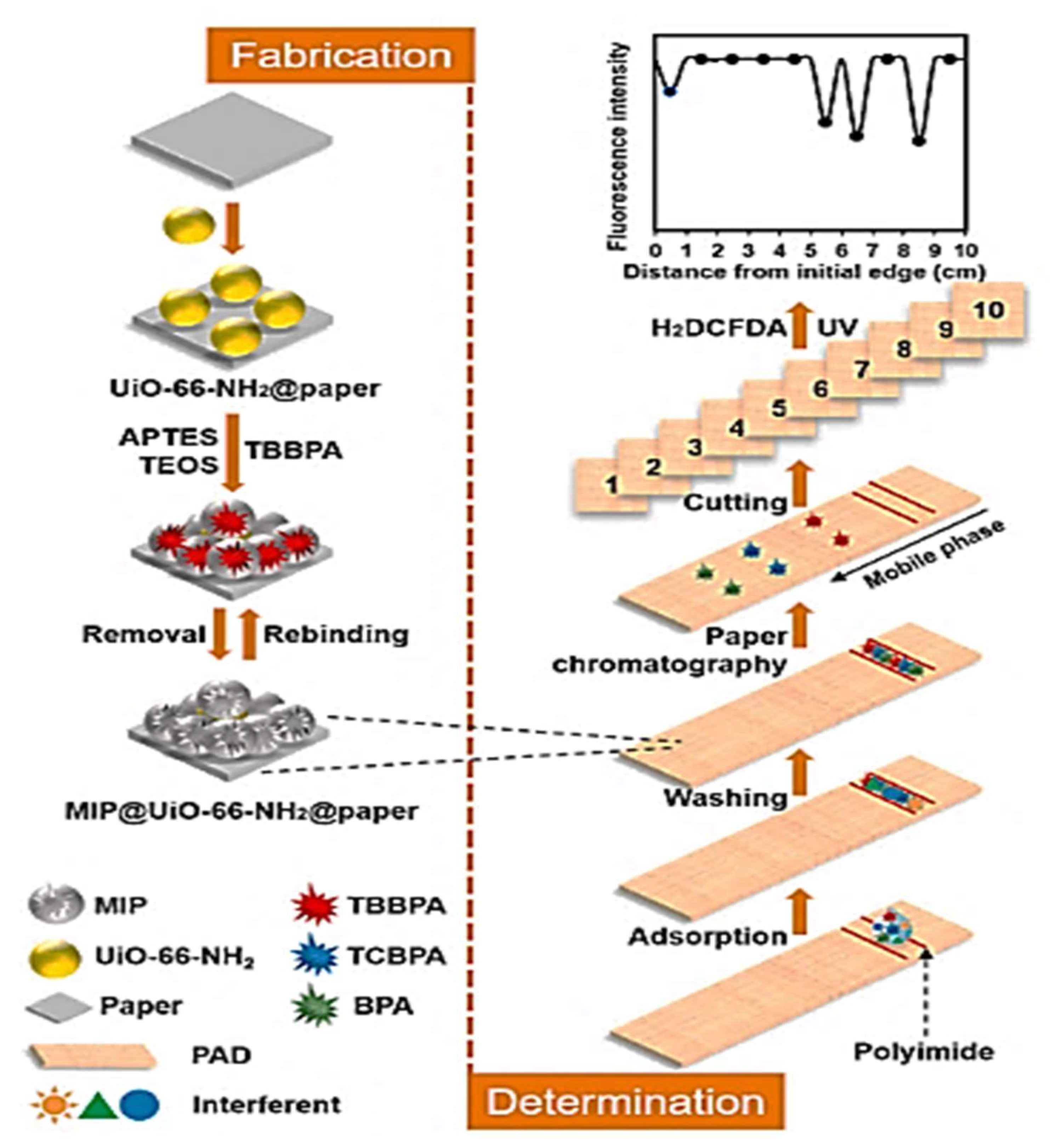 Molecules 26 06515 g011