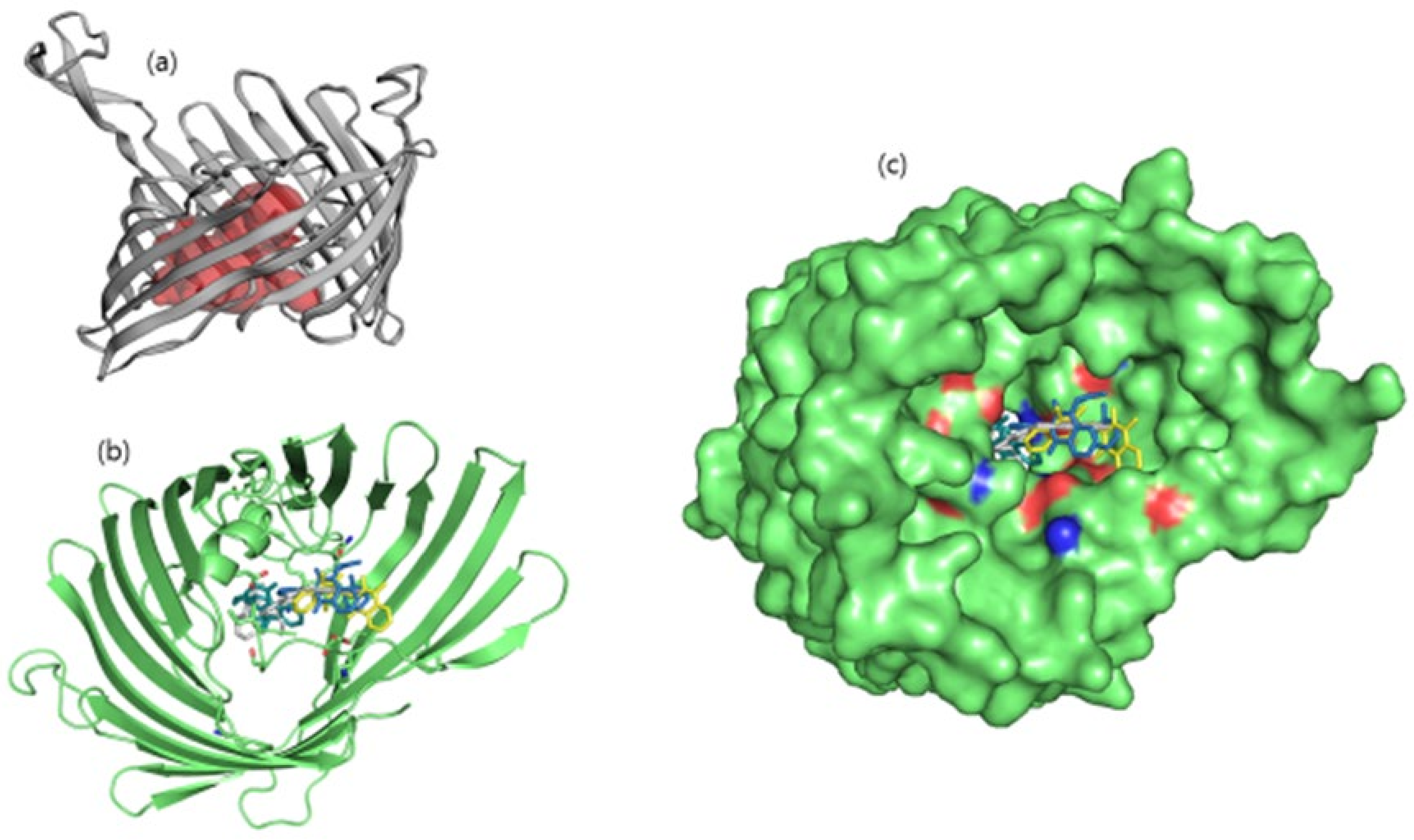 Molecules 26 06517 g001