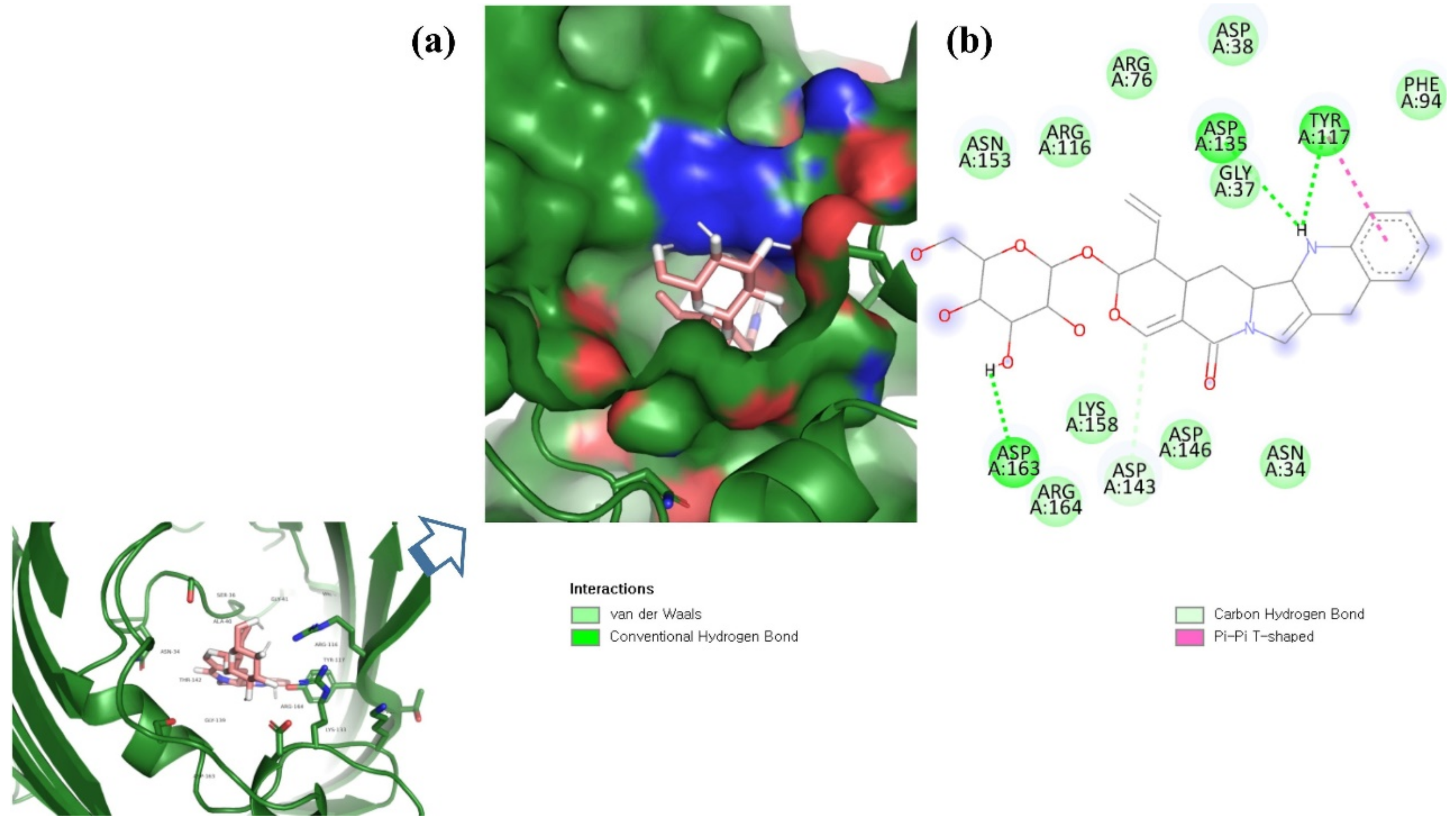 Molecules 26 06517 g004