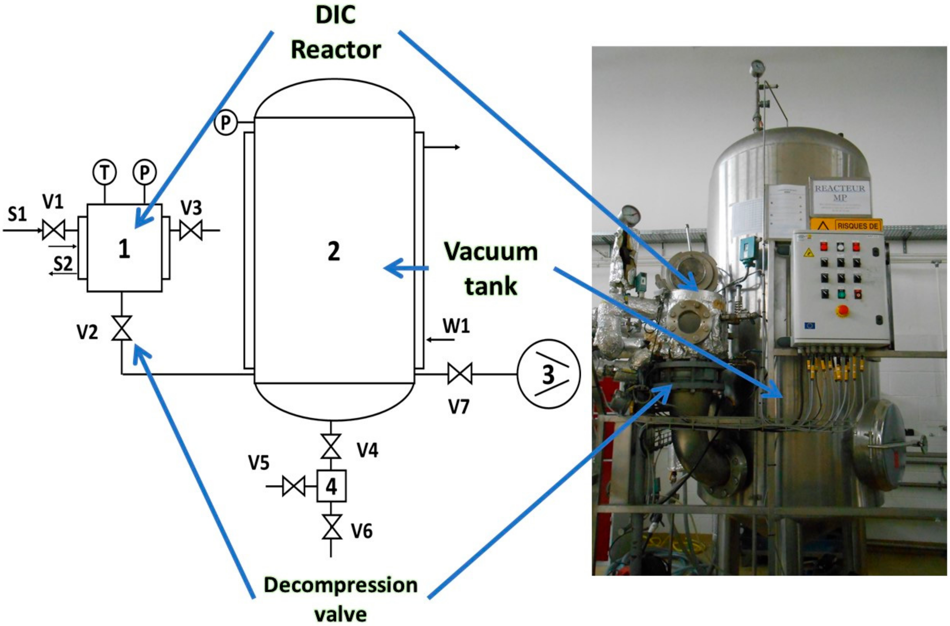Molecules 26 06519 g003 Molecules 26 06519 g003