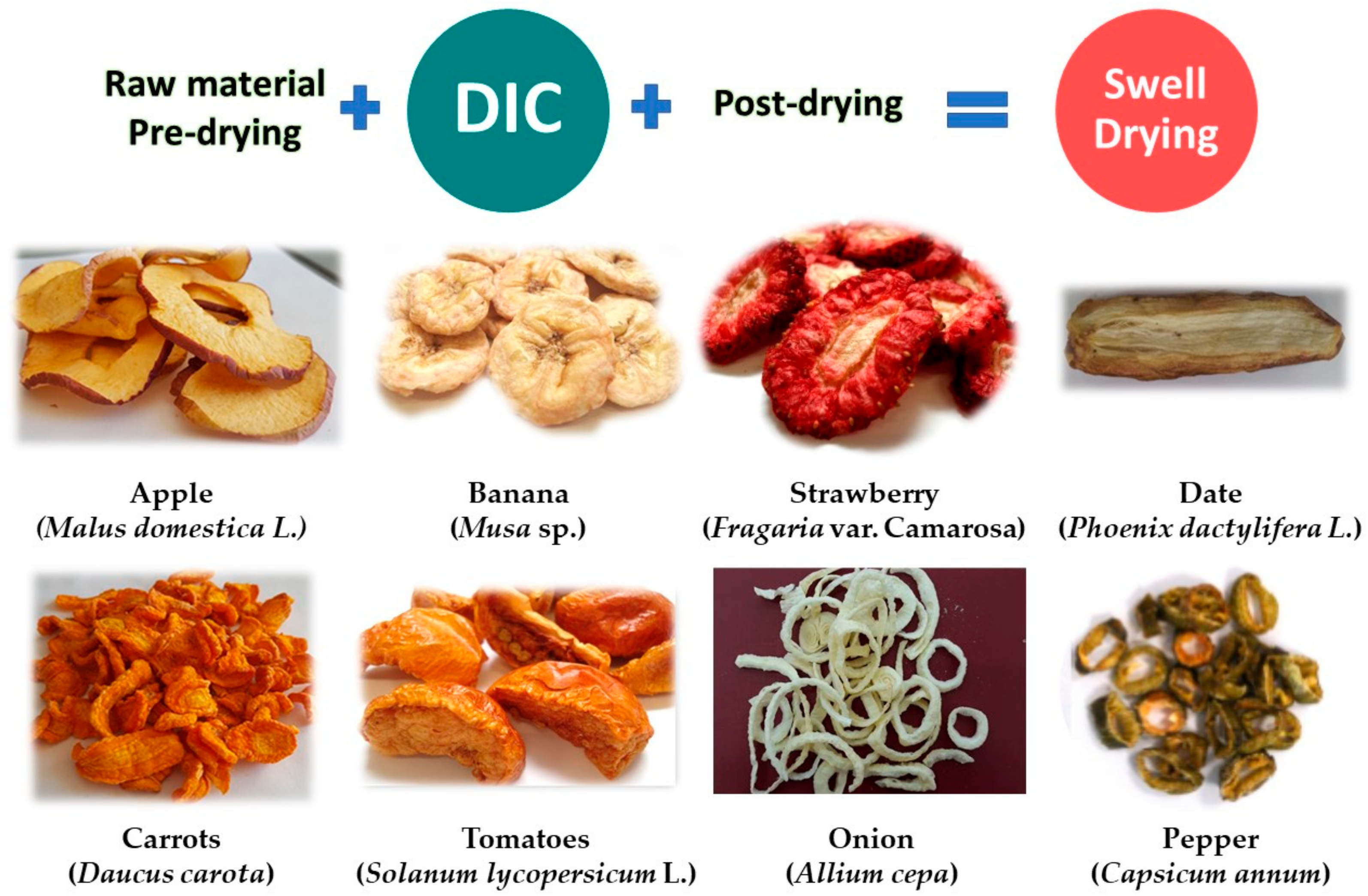 Molecules 26 06519 g005 Molecules 26 06519 g005