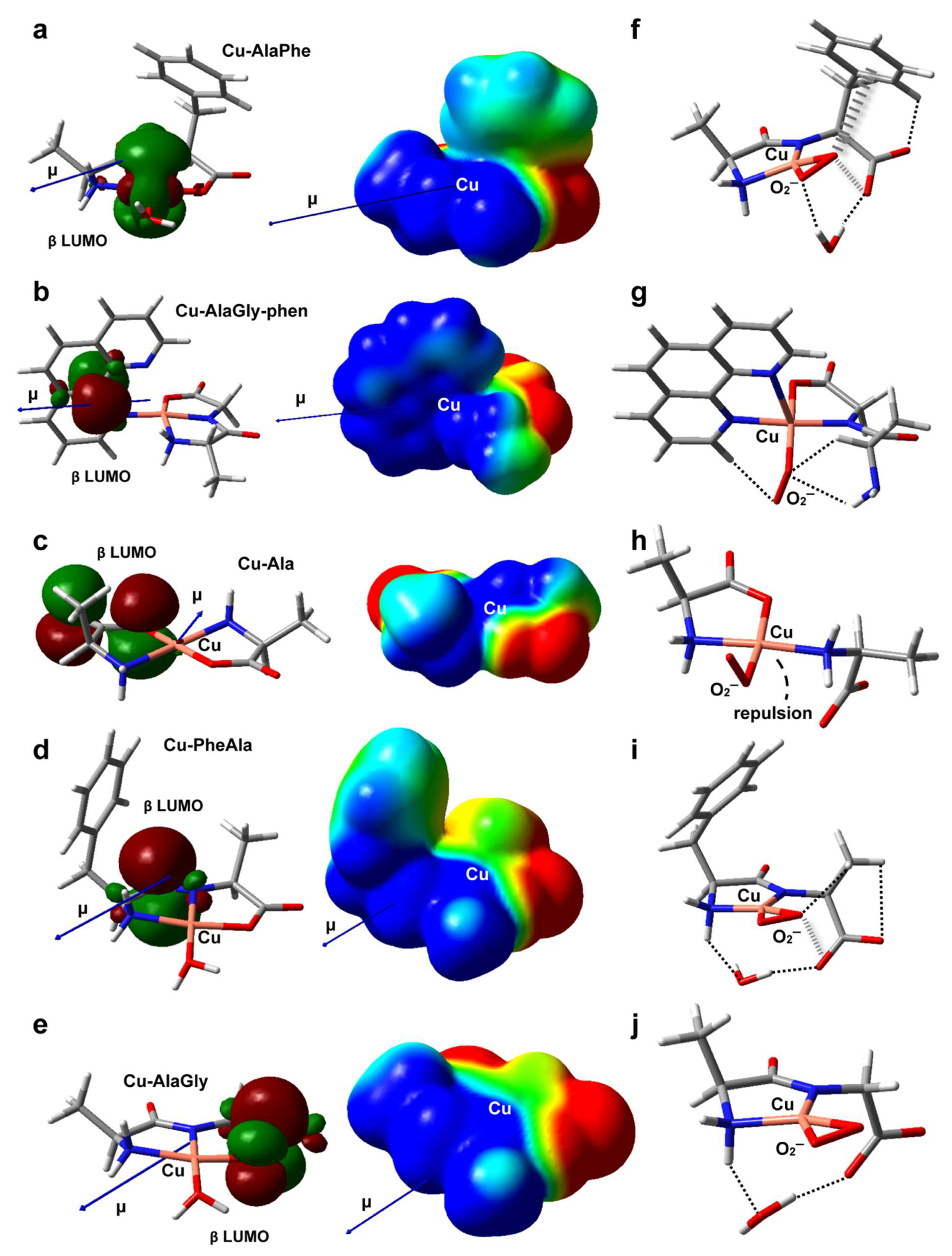 Molecules 26 06520 g005