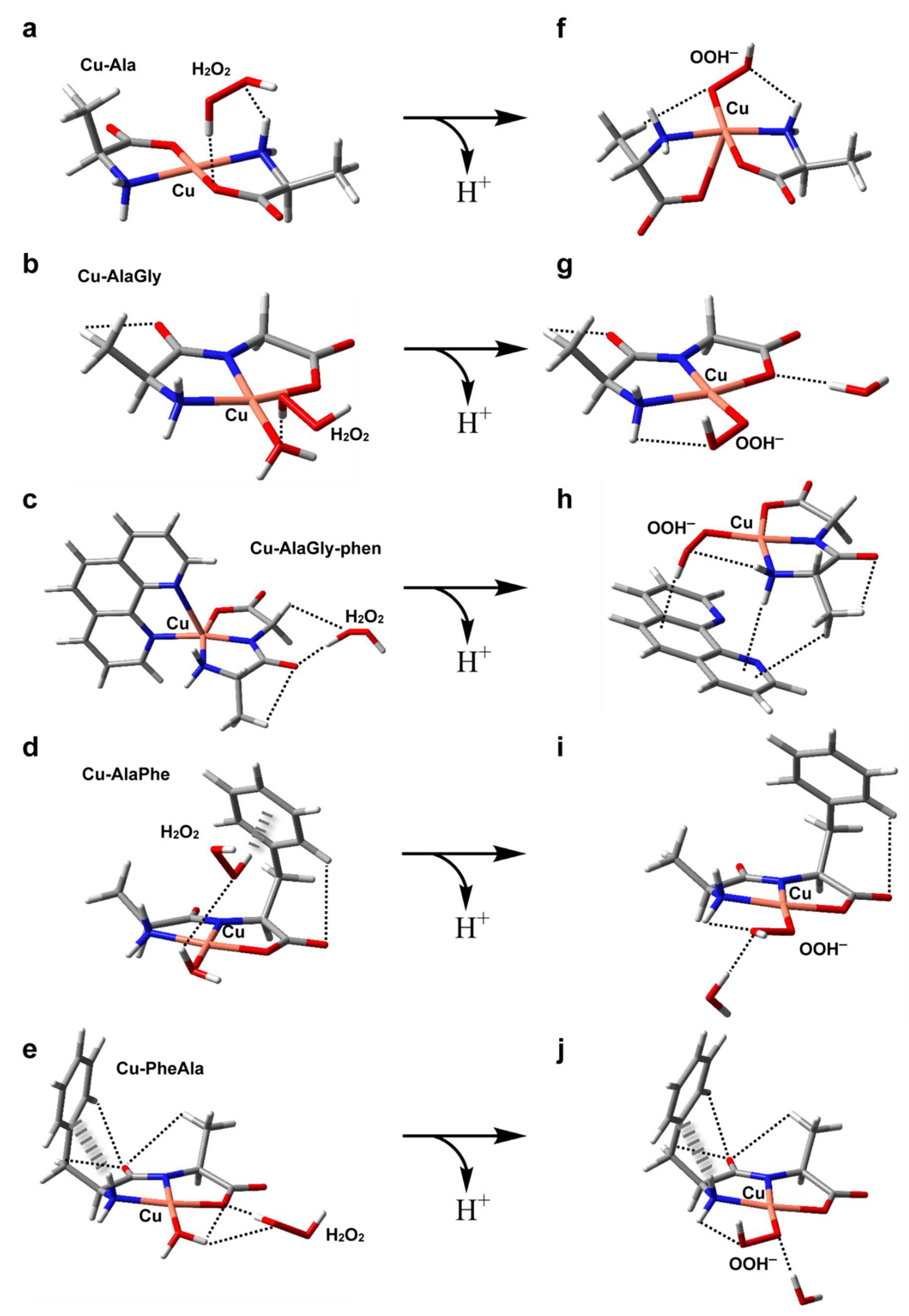 Molecules 26 06520 g006