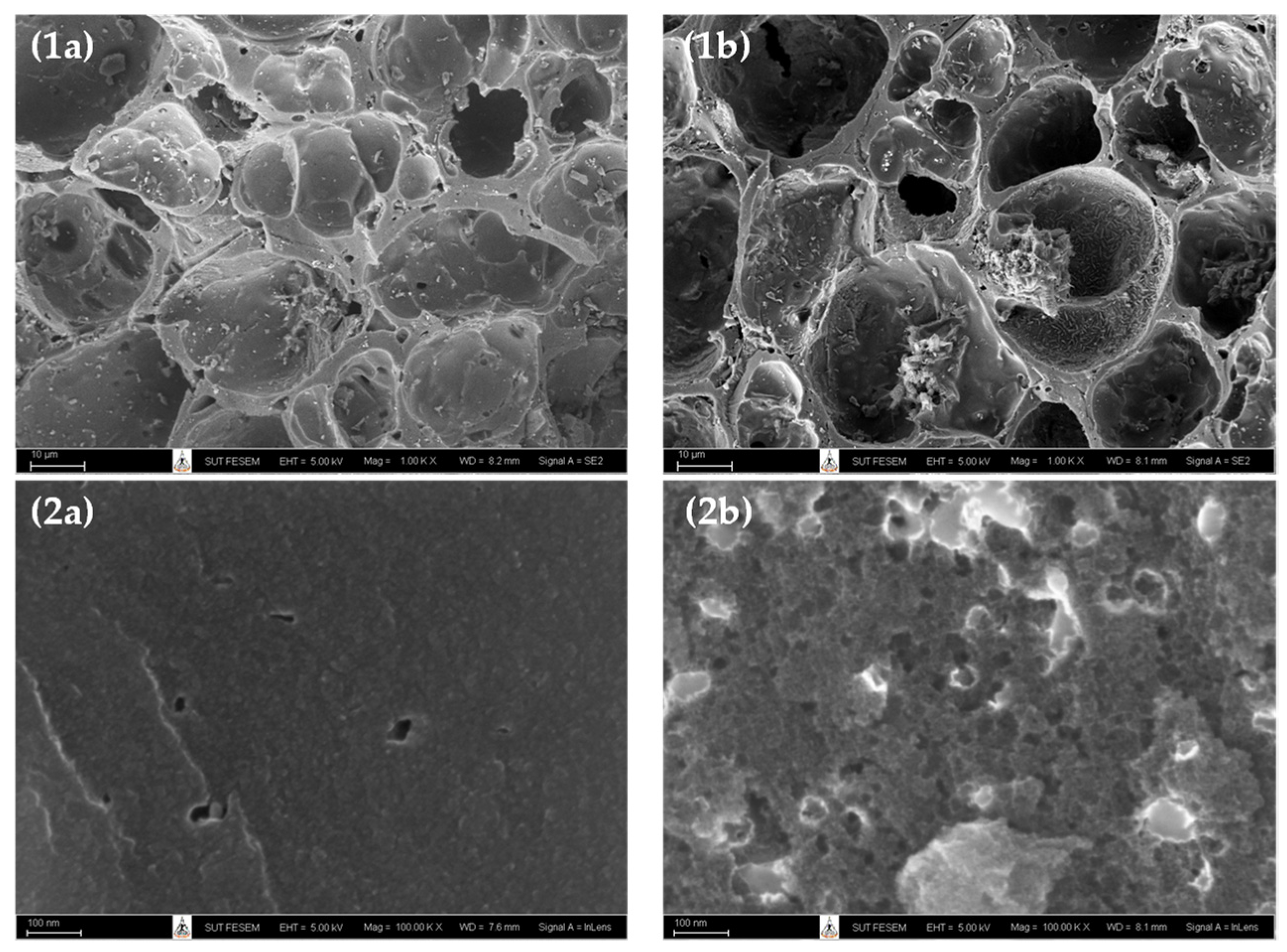 Molecules 26 06521 g001