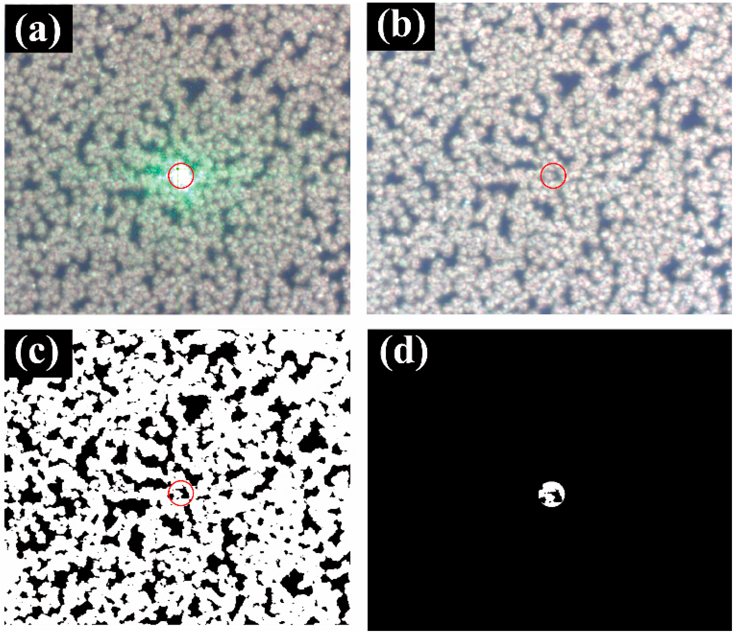 Molecules 26 06522 g003