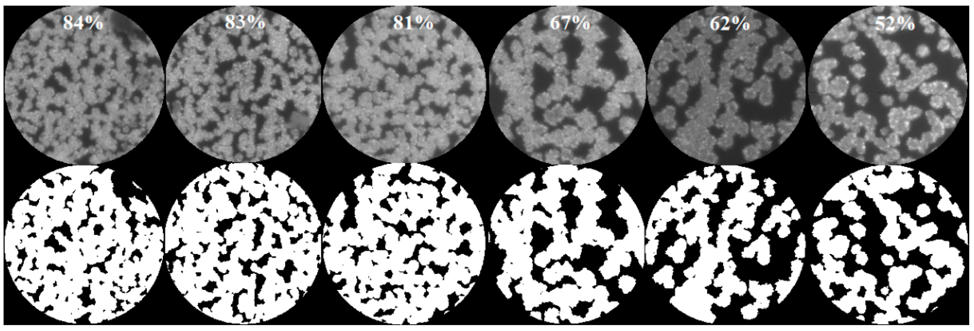 Molecules 26 06522 g007