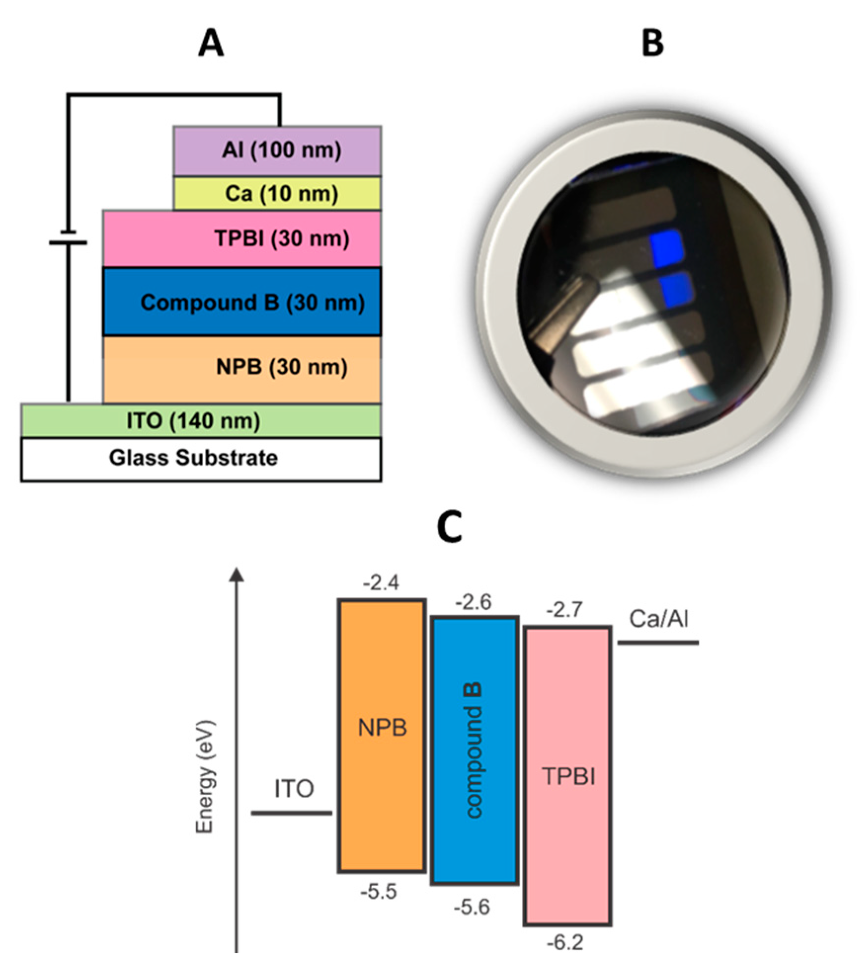 Molecules 26 06523 g006