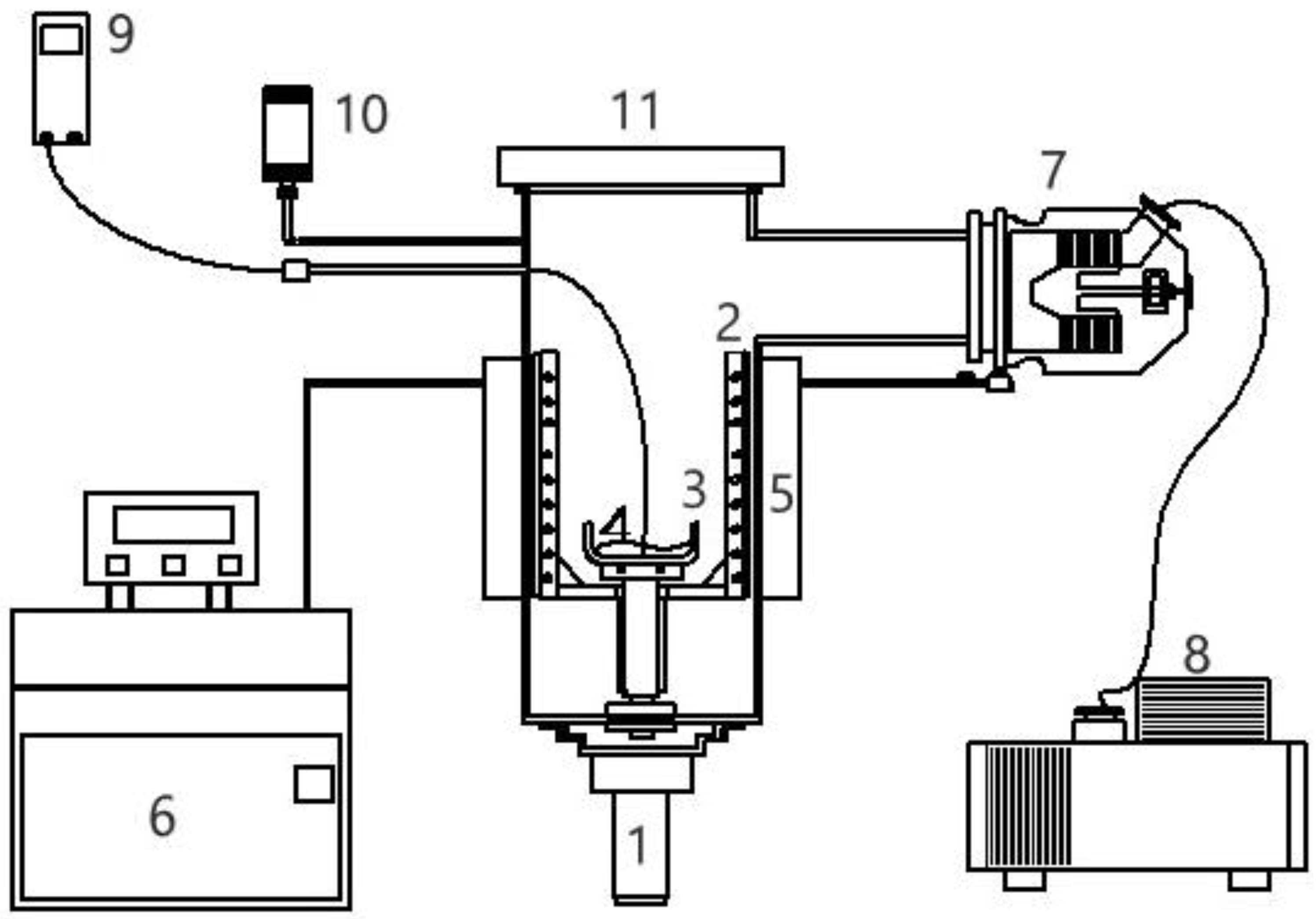 Molecules 26 06524 g006