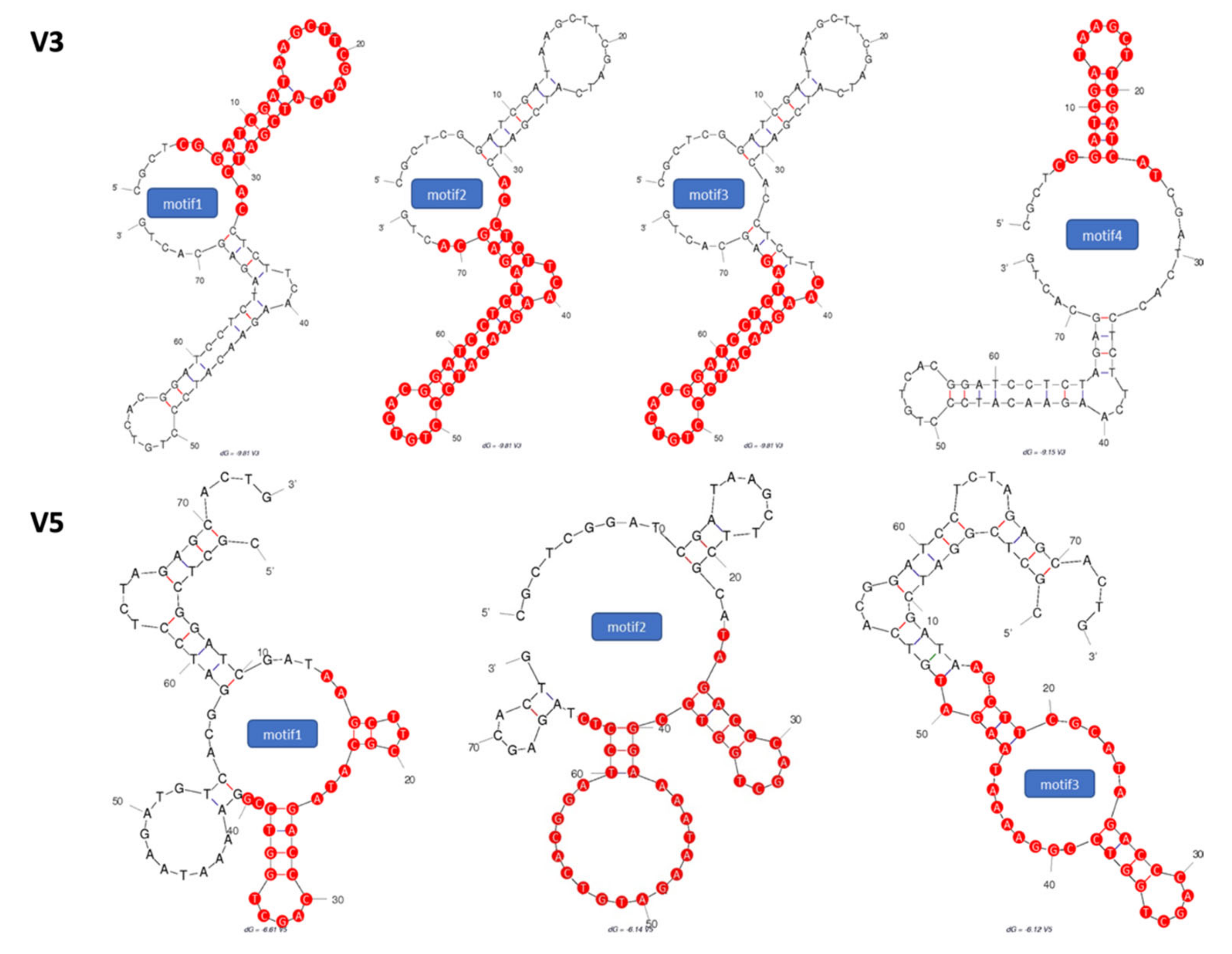 Molecules 26 06525 g001