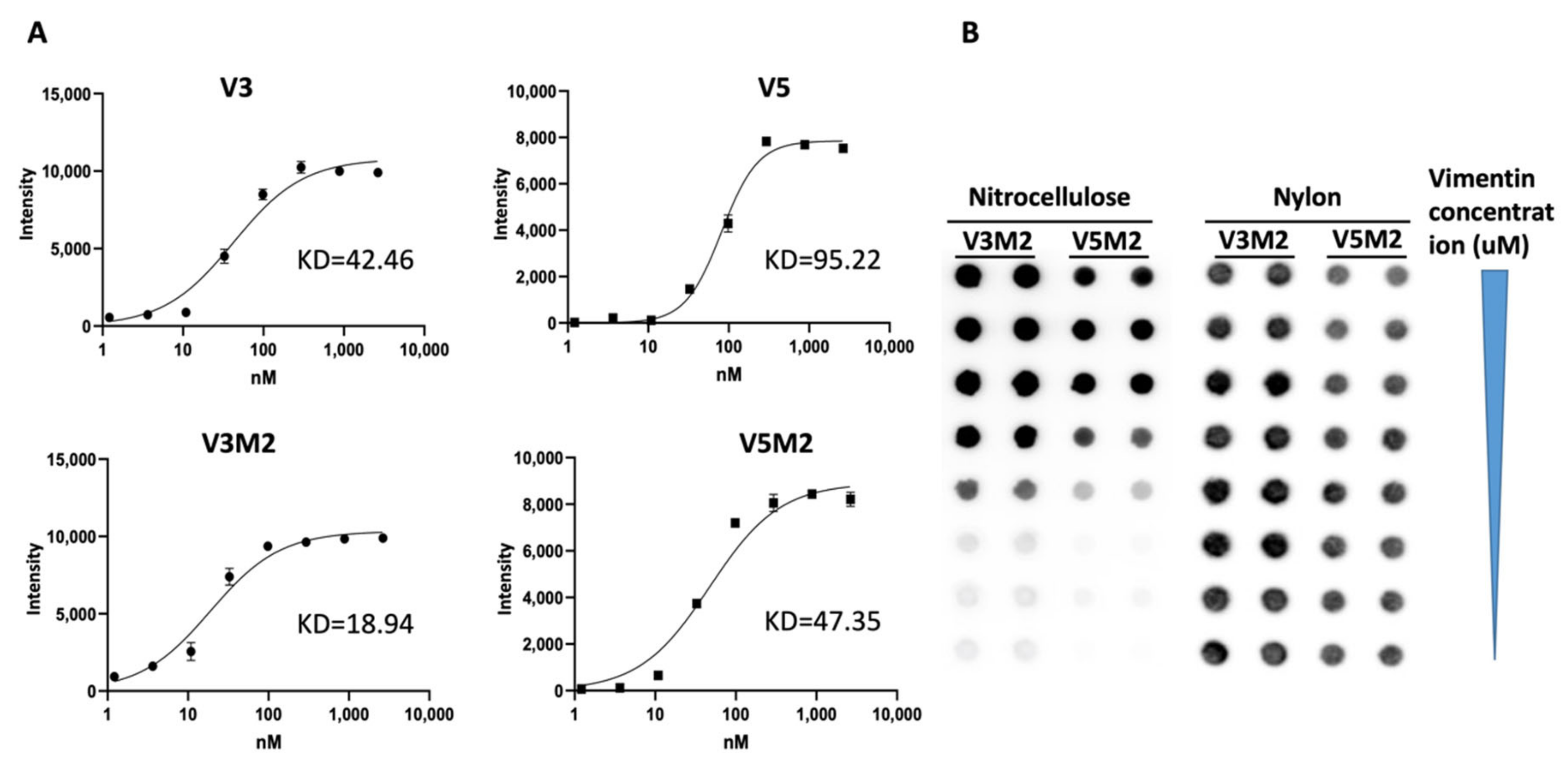 Molecules 26 06525 g003