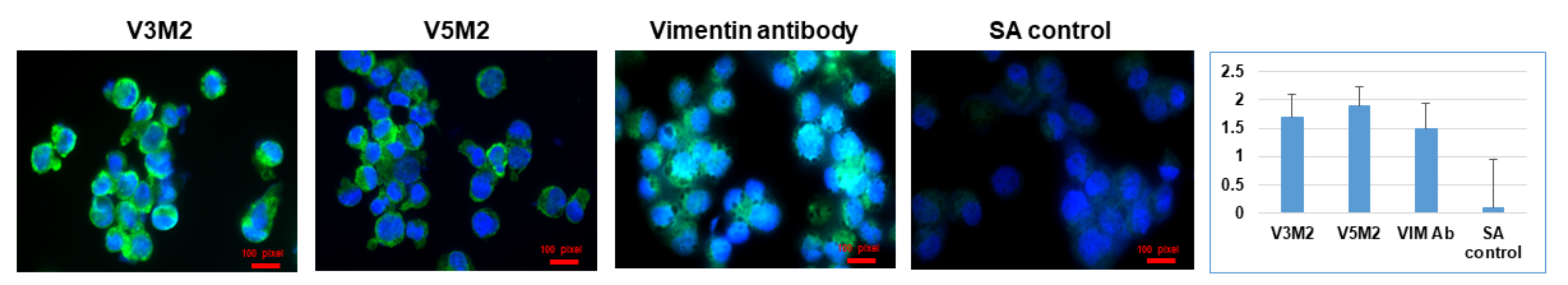 Molecules 26 06525 g005