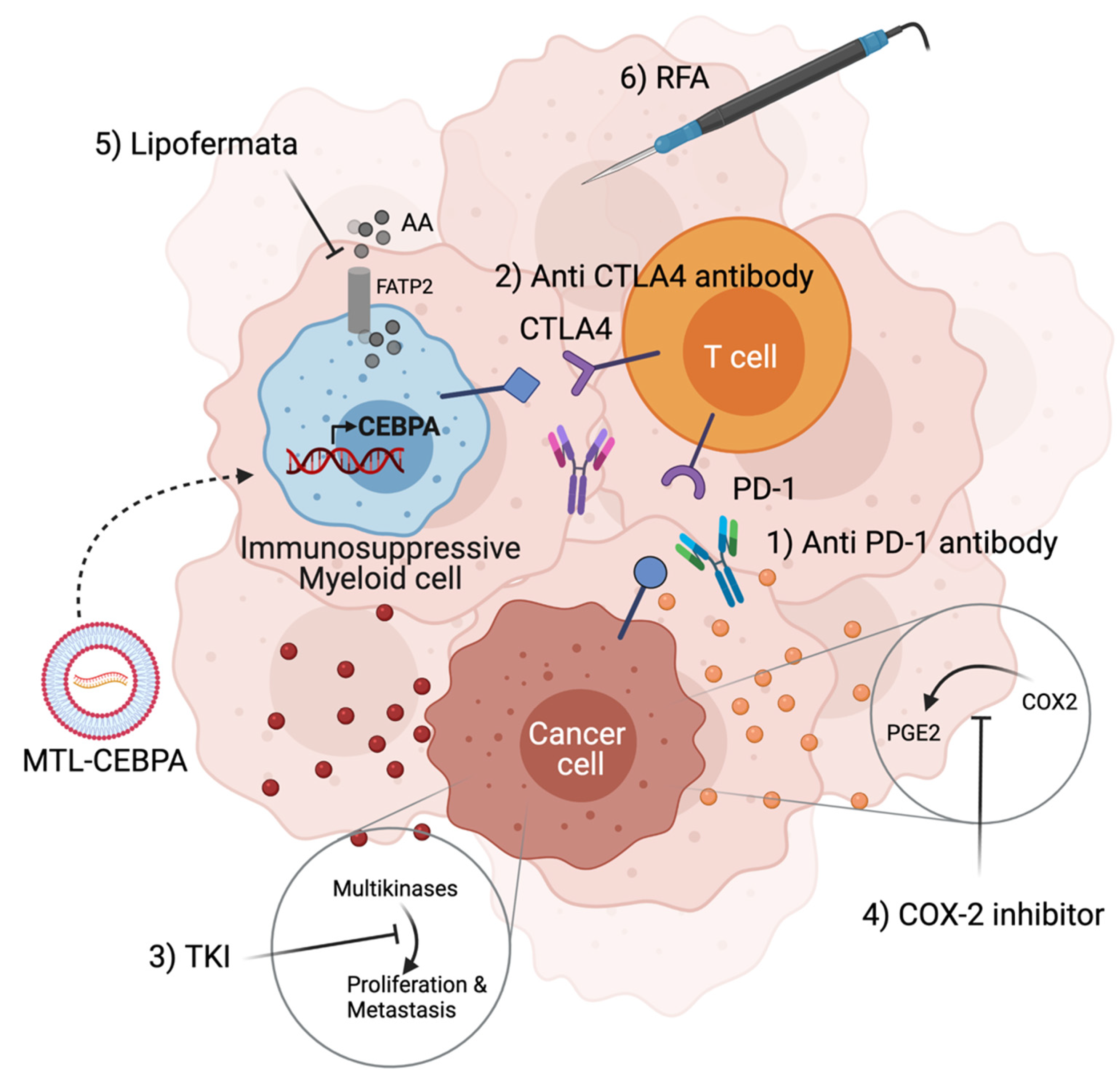 Molecules 26 06530 g002
