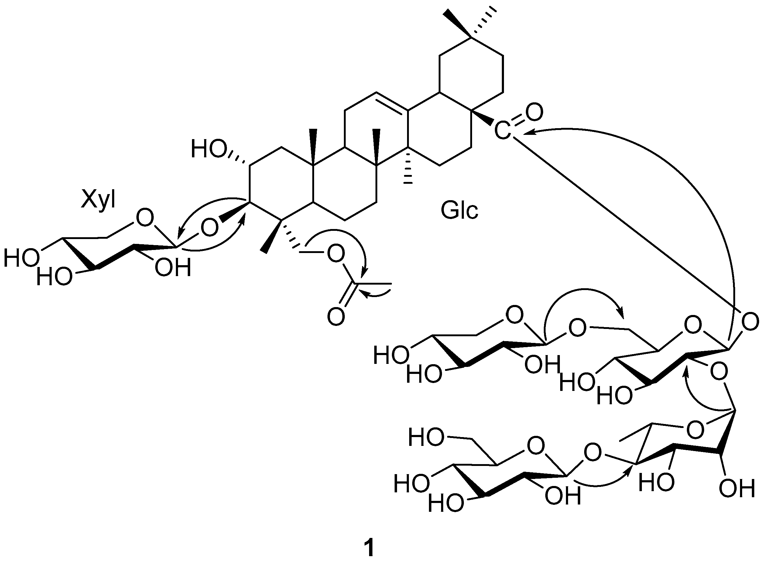 Molecules 26 06535 g002