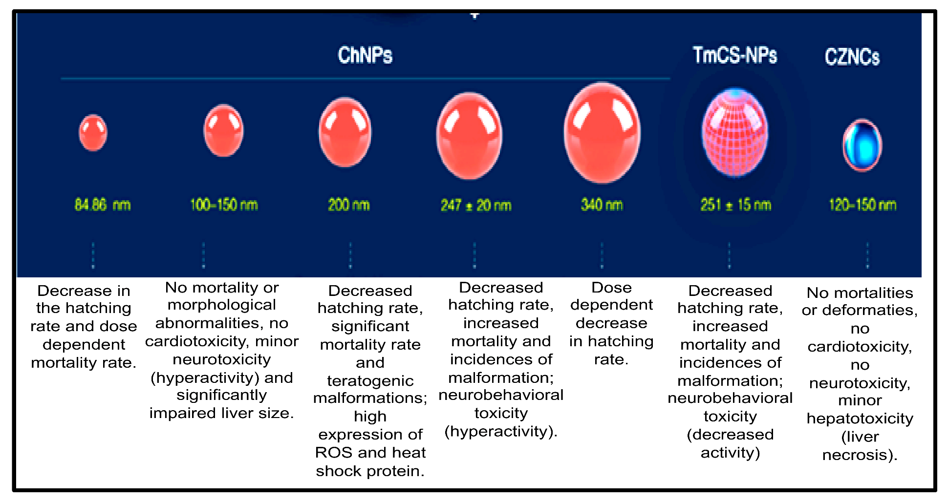Molecules 26 06536 g005