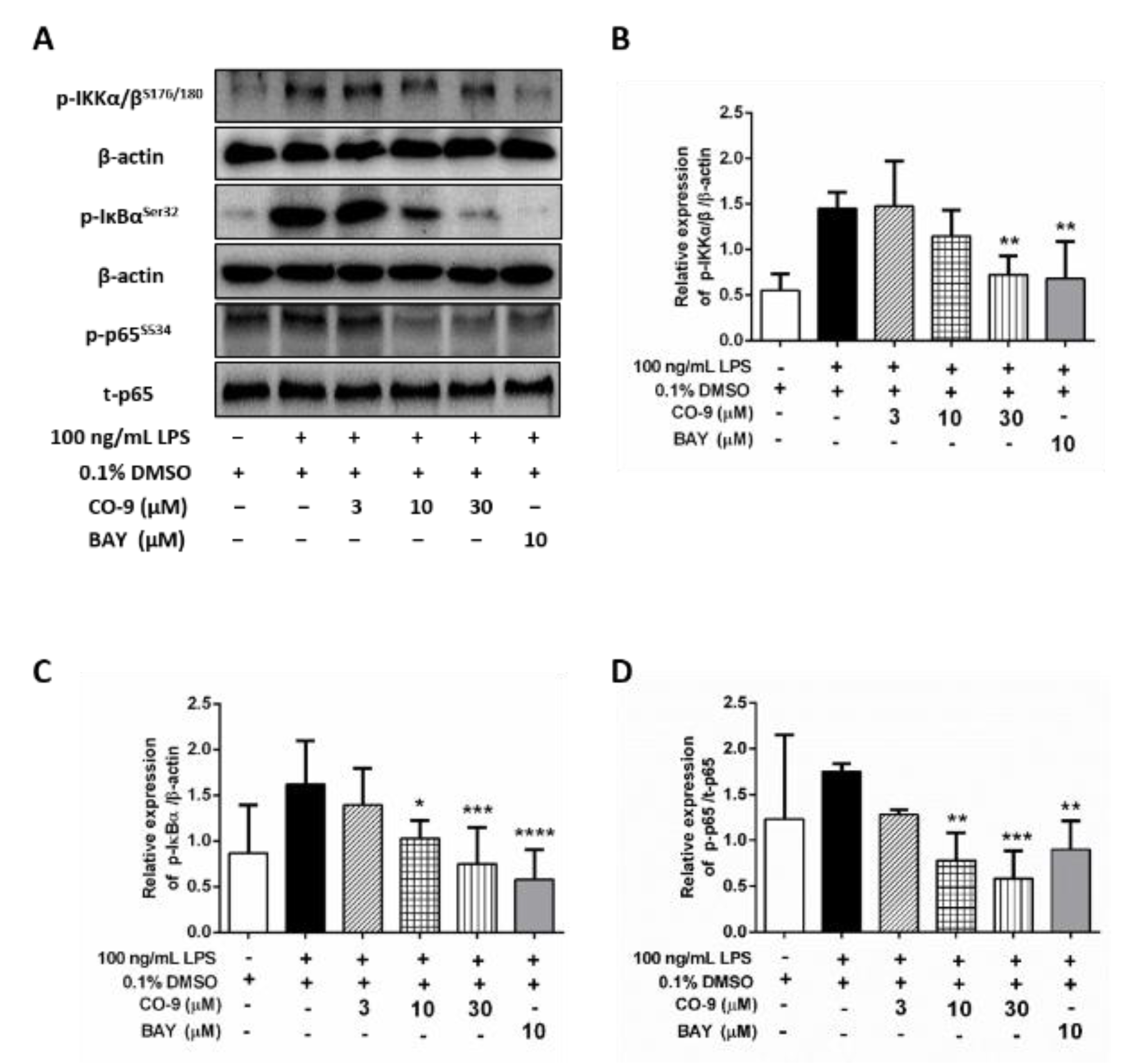 Molecules 26 06540 g006