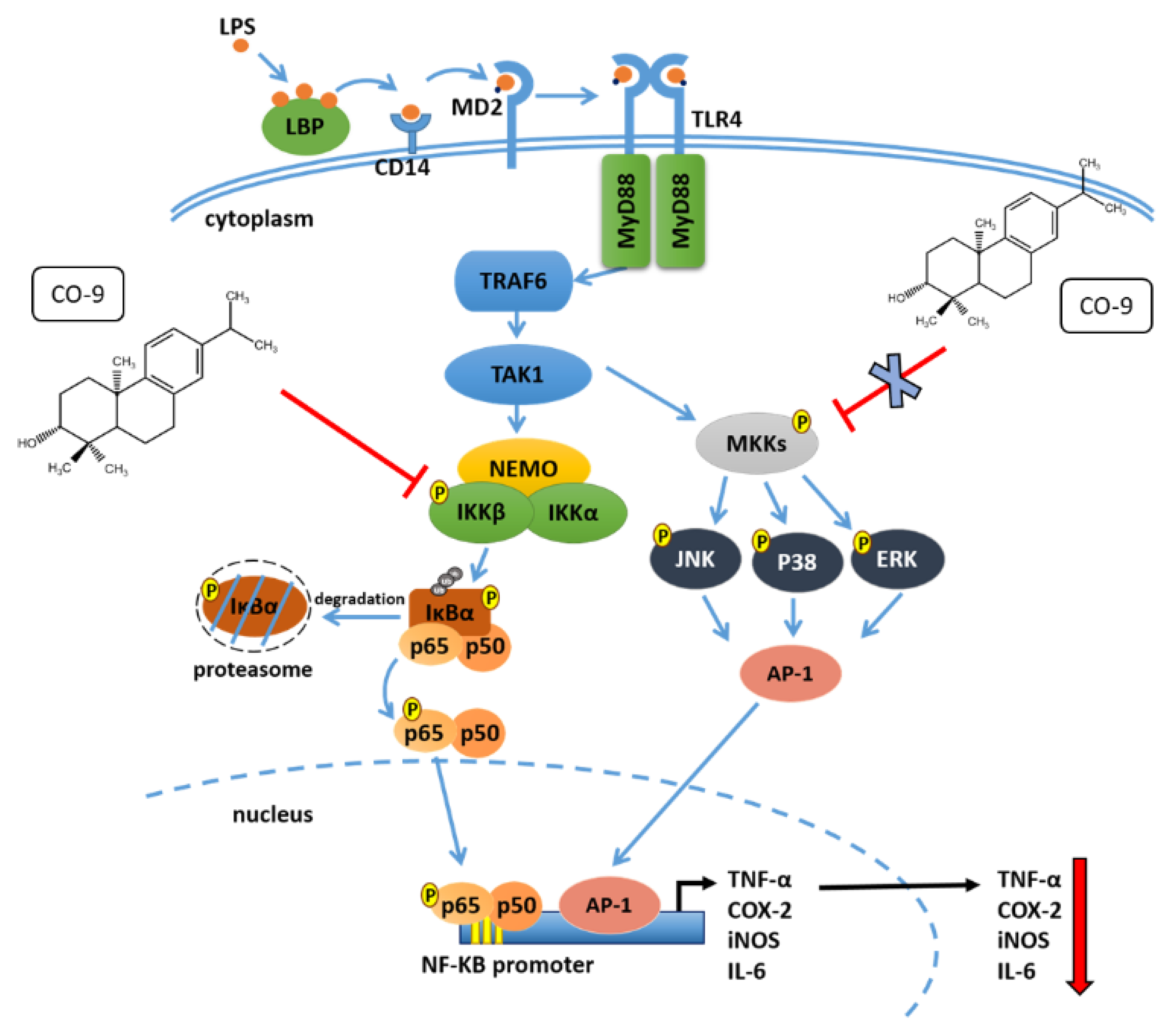 Molecules 26 06540 g007