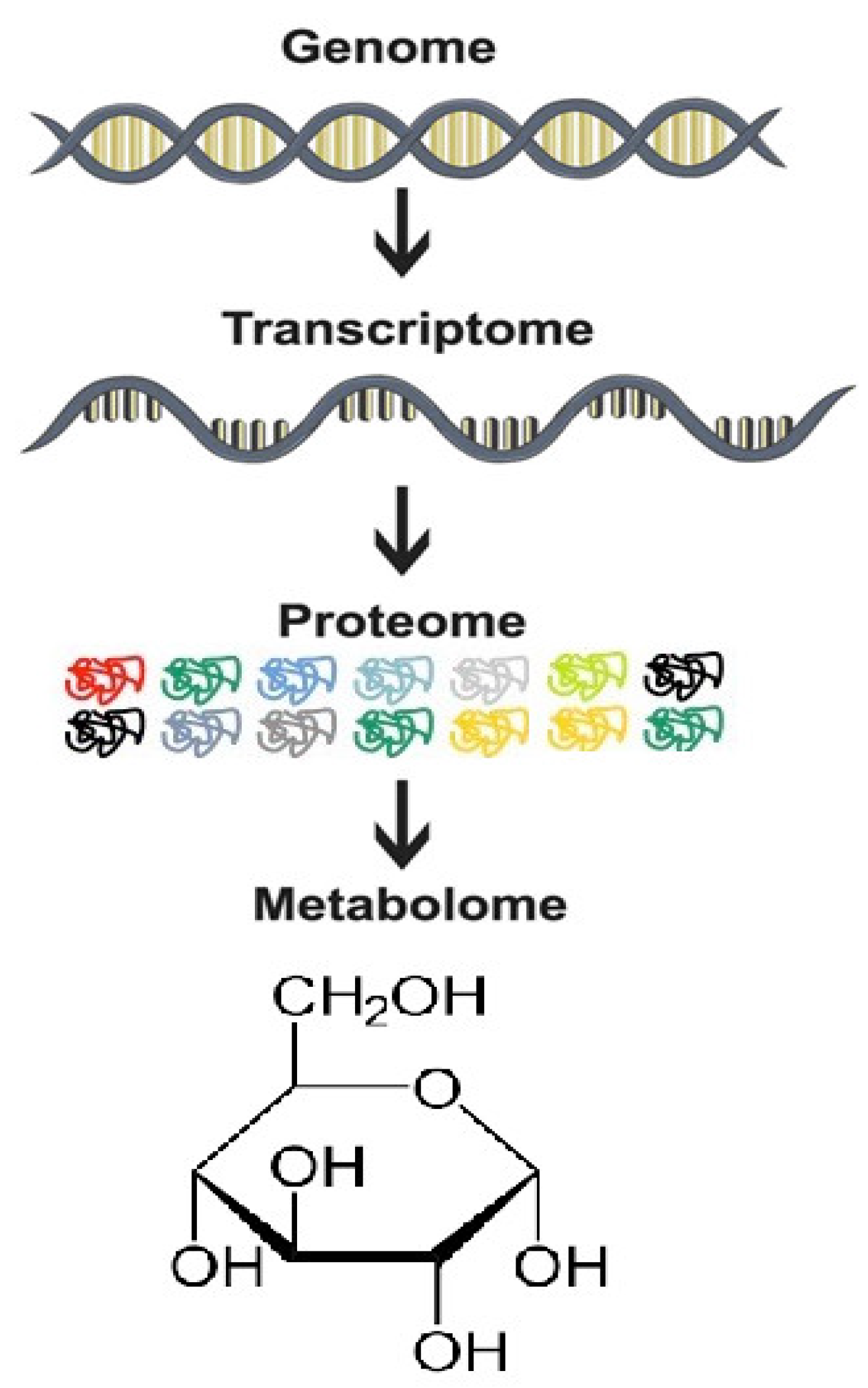 Molecules 26 06541 g001