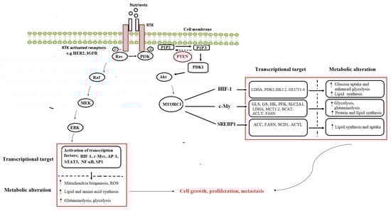 Molecules 26 06541 g002