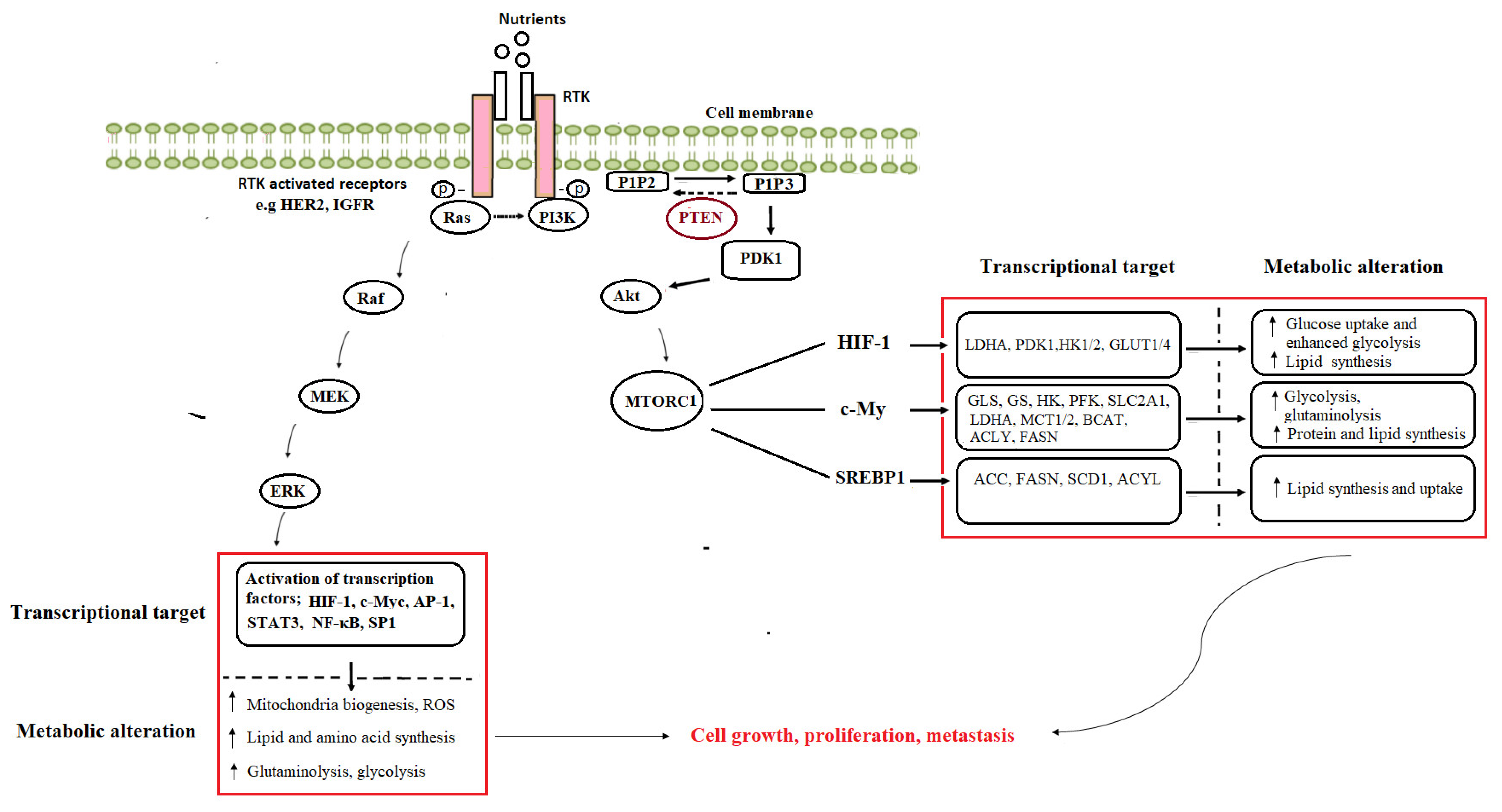 Molecules 26 06541 g002