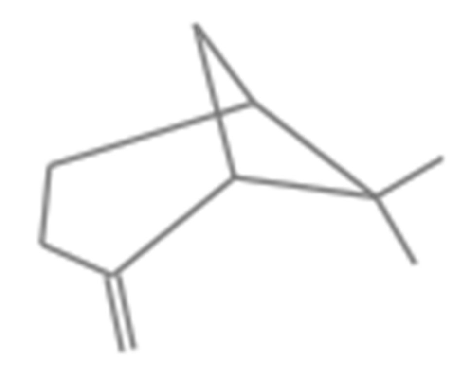 Molecules 26 06545 g005