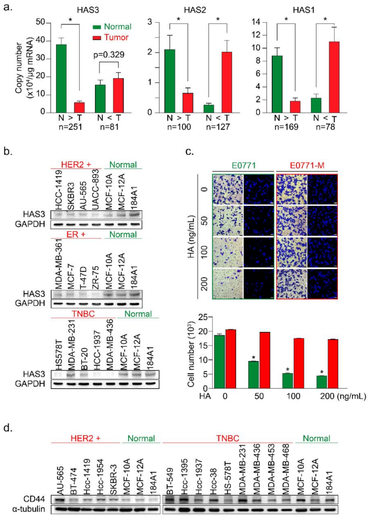 Molecules 26 06548 g001