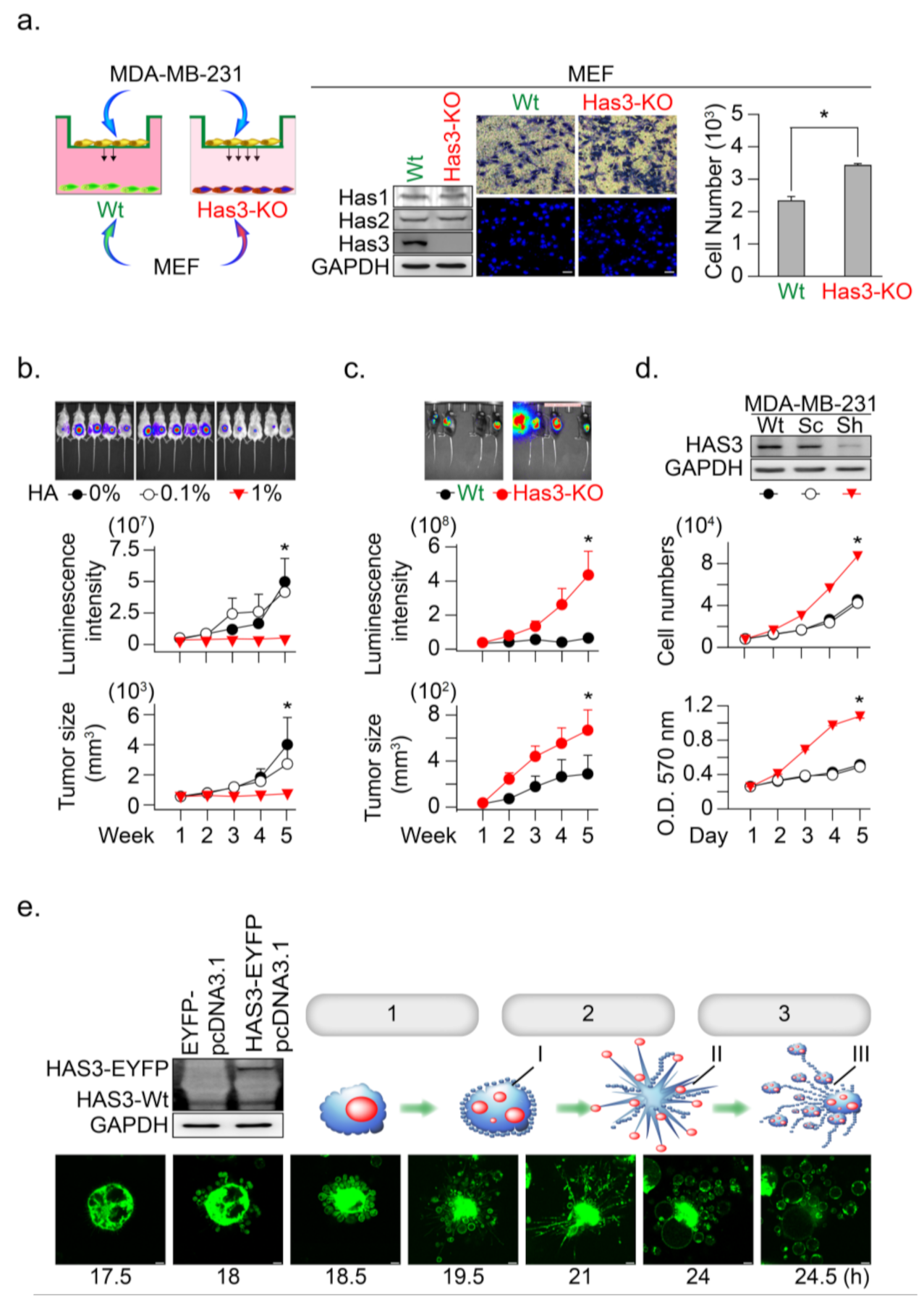 Molecules 26 06548 g002