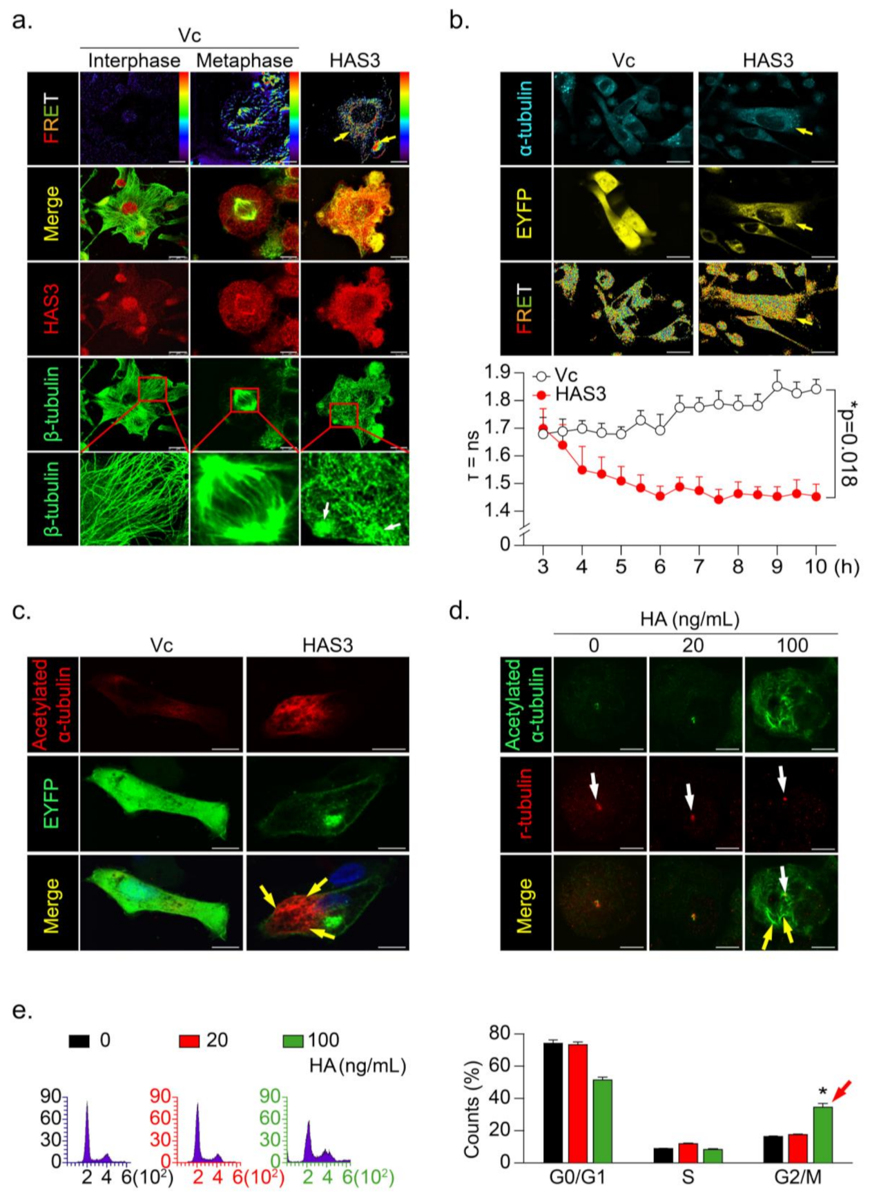 Molecules 26 06548 g004