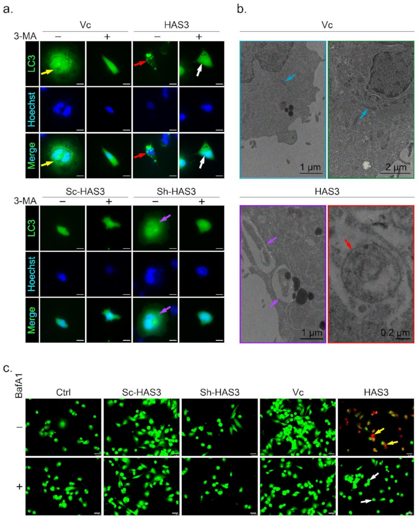 Molecules 26 06548 g005