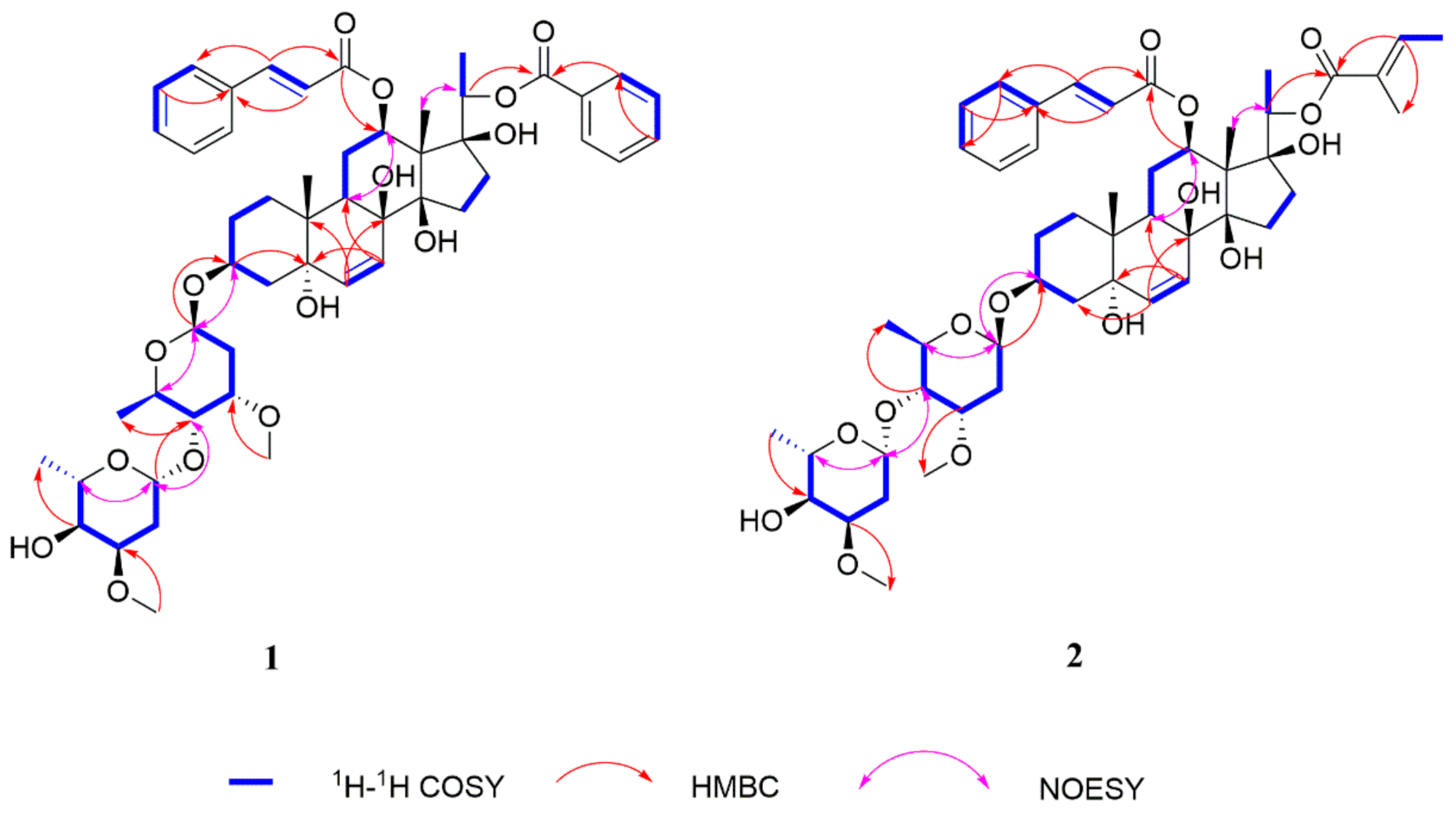 Molecules 26 06549 g002