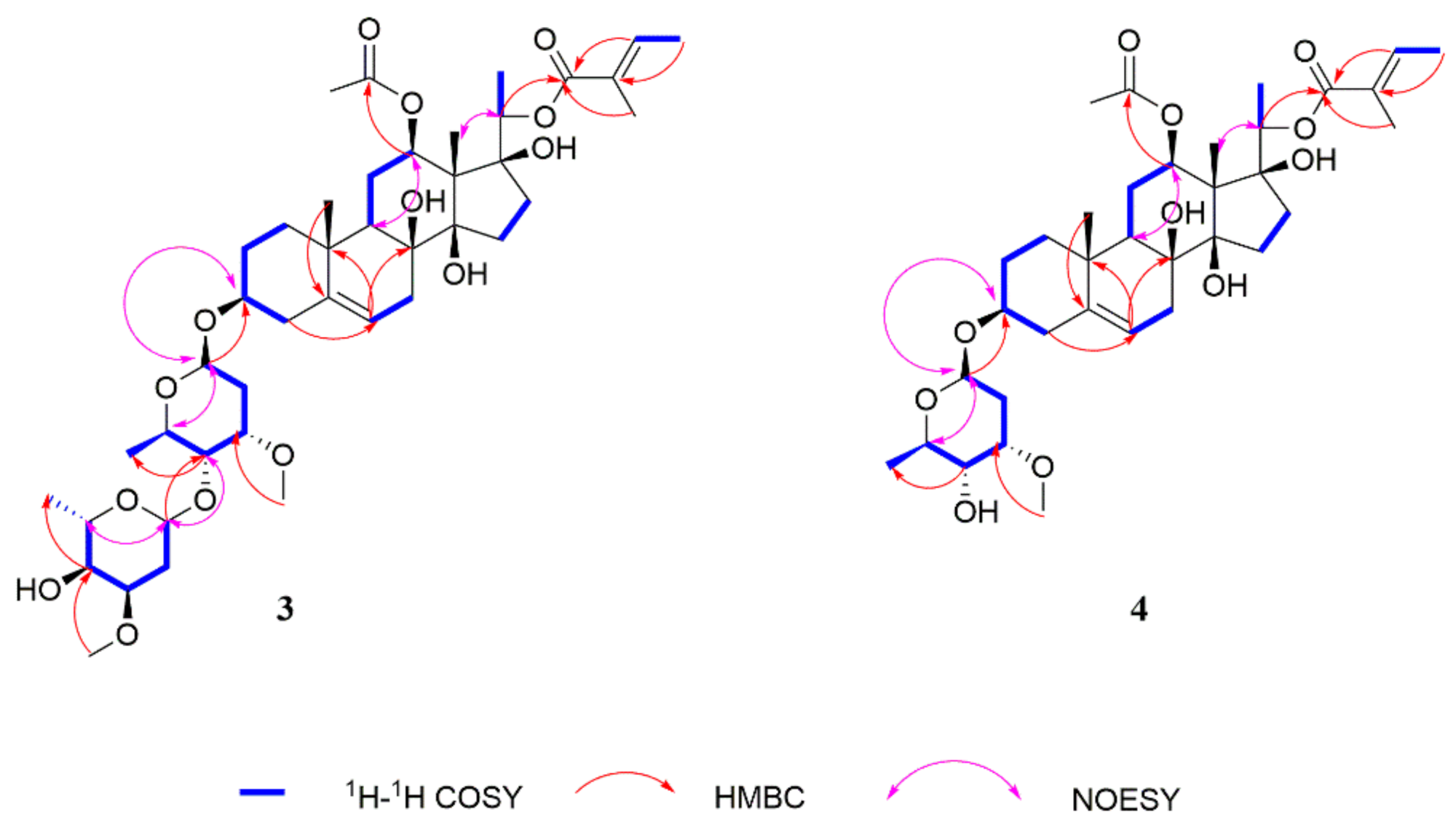 Molecules 26 06549 g003