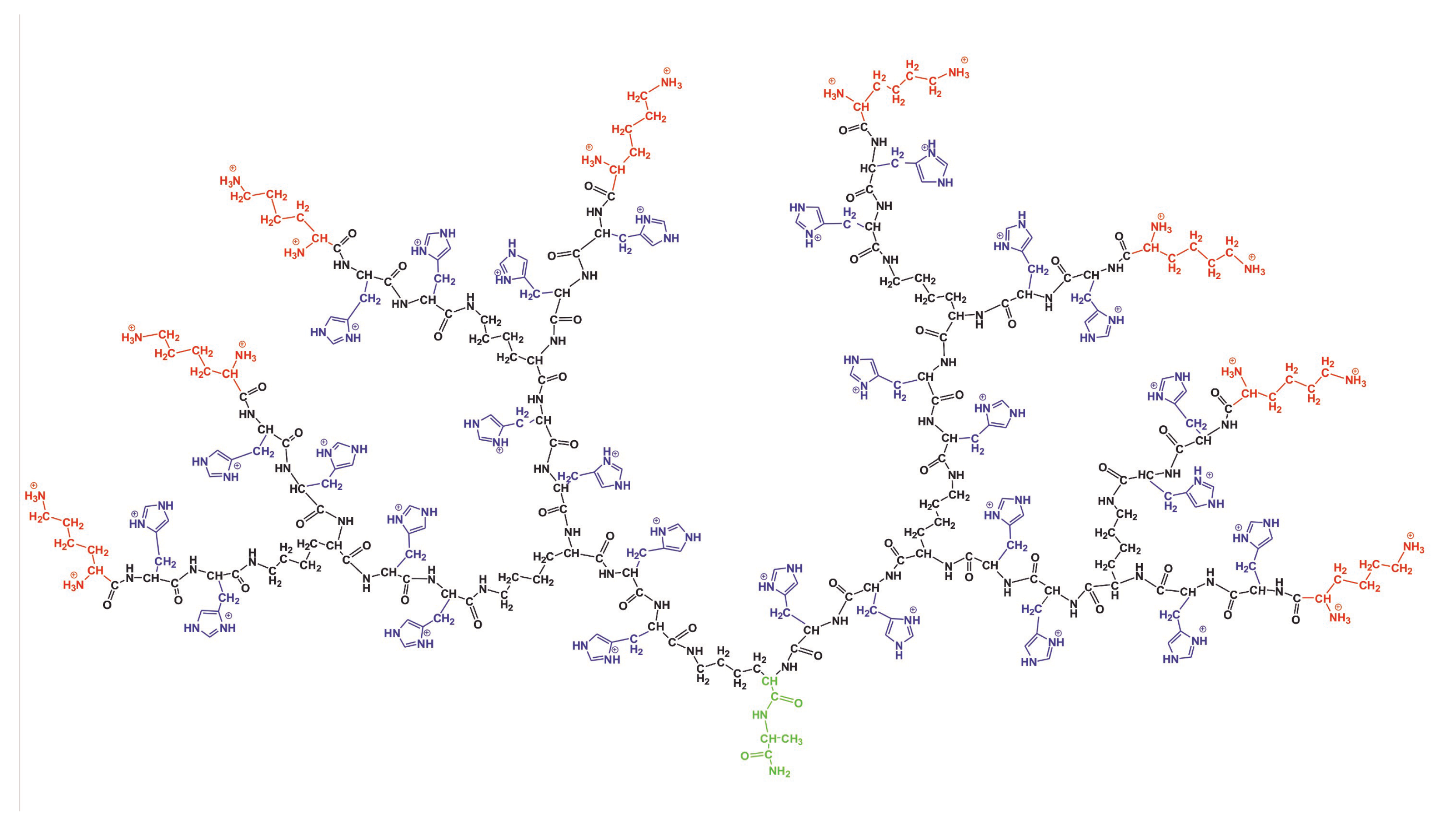 Molecules 26 06552 g001