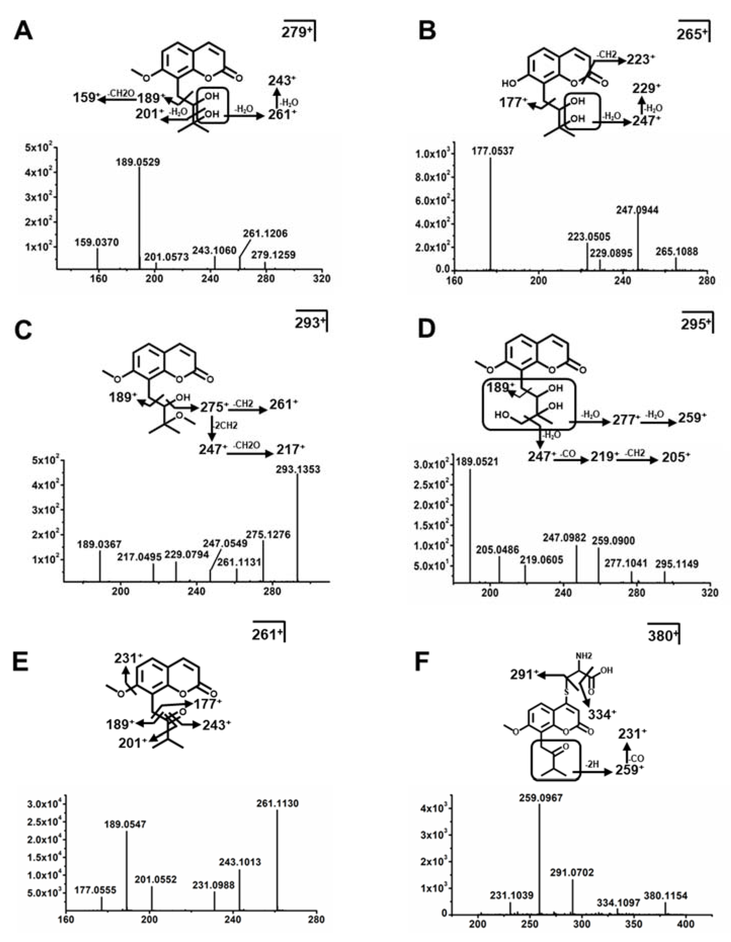 Molecules 26 06558 g005