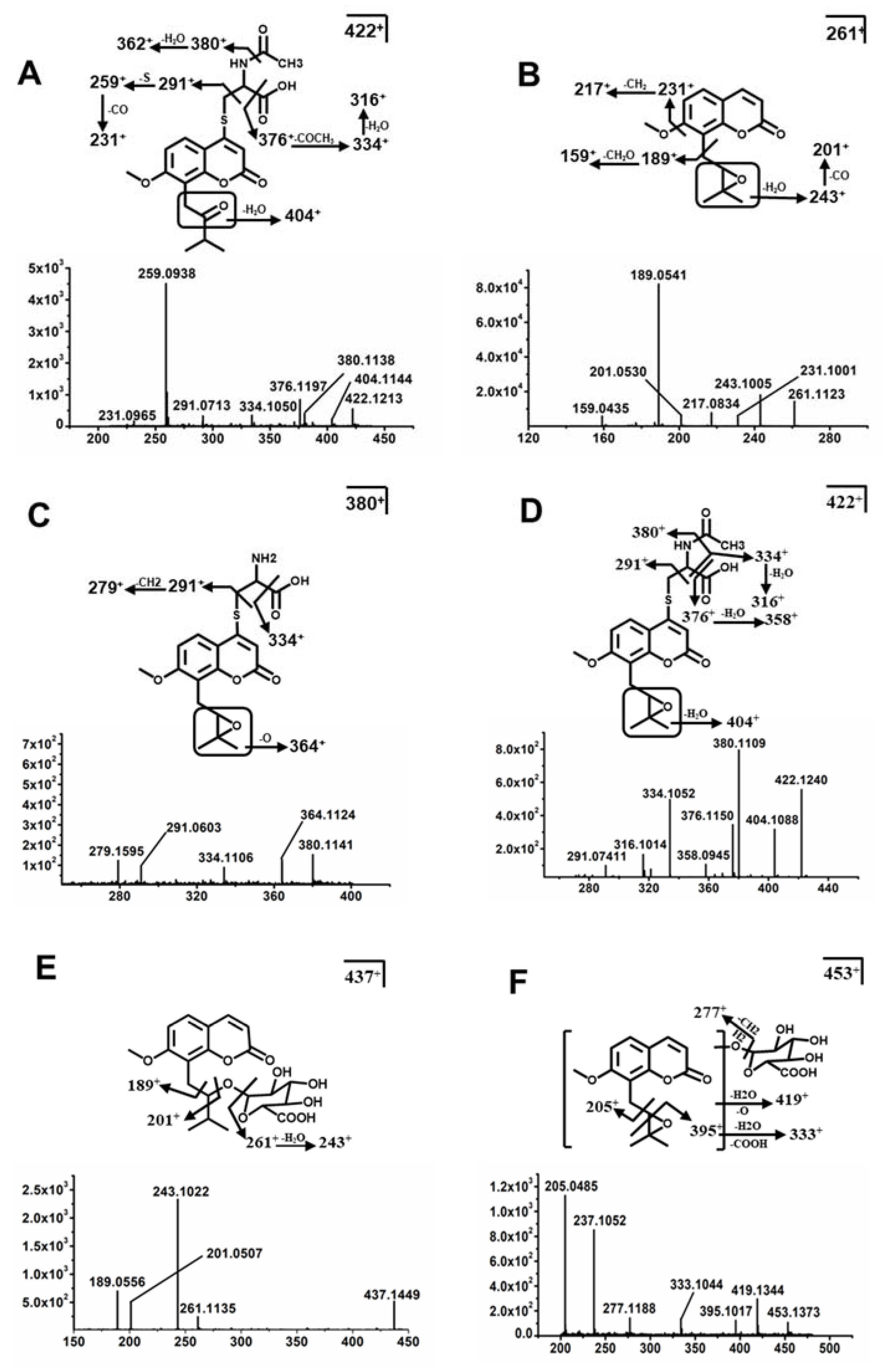 Molecules 26 06558 g006