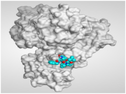 Molecules 26 06559 i002