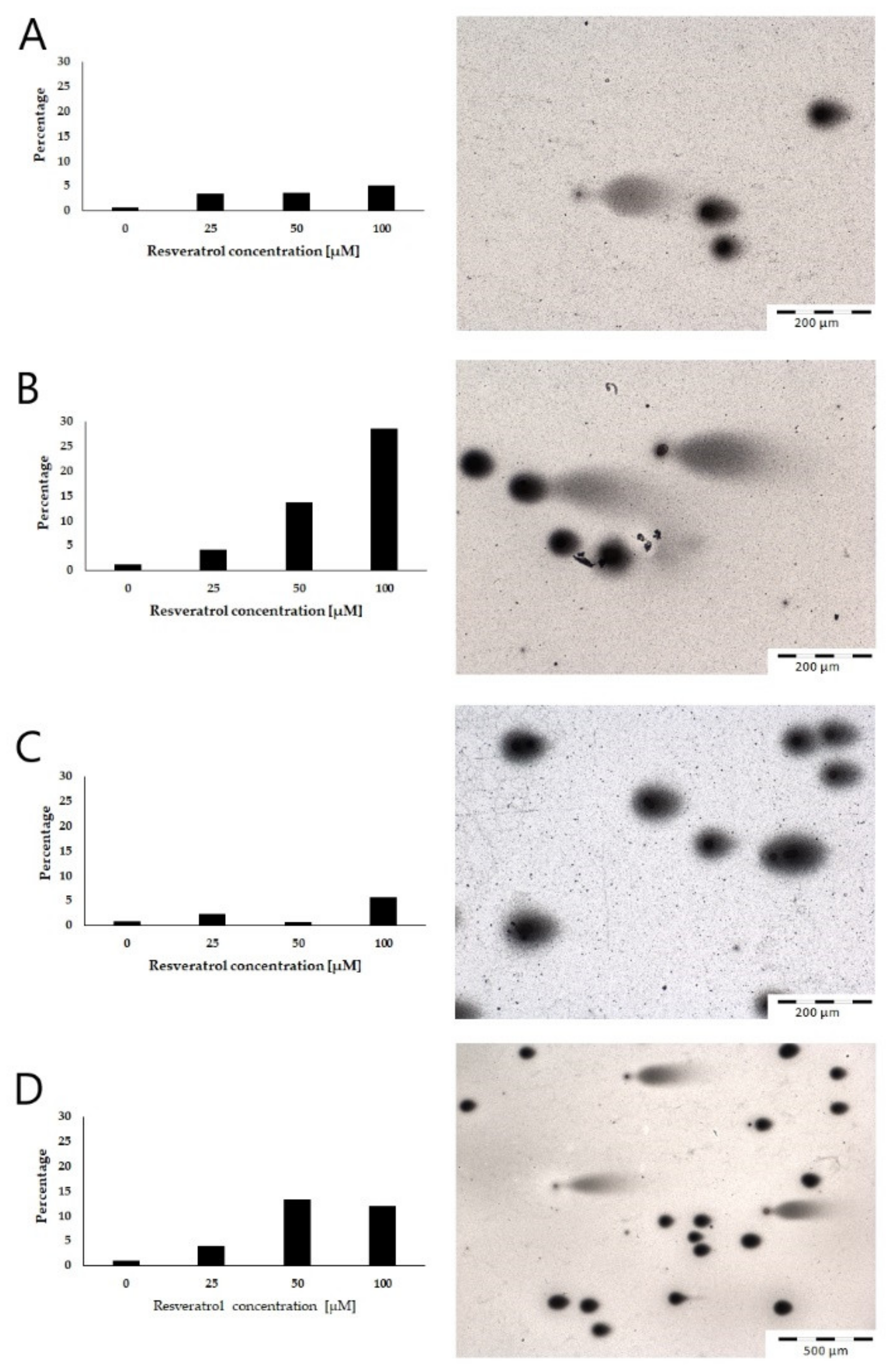 Molecules 26 06560 g006