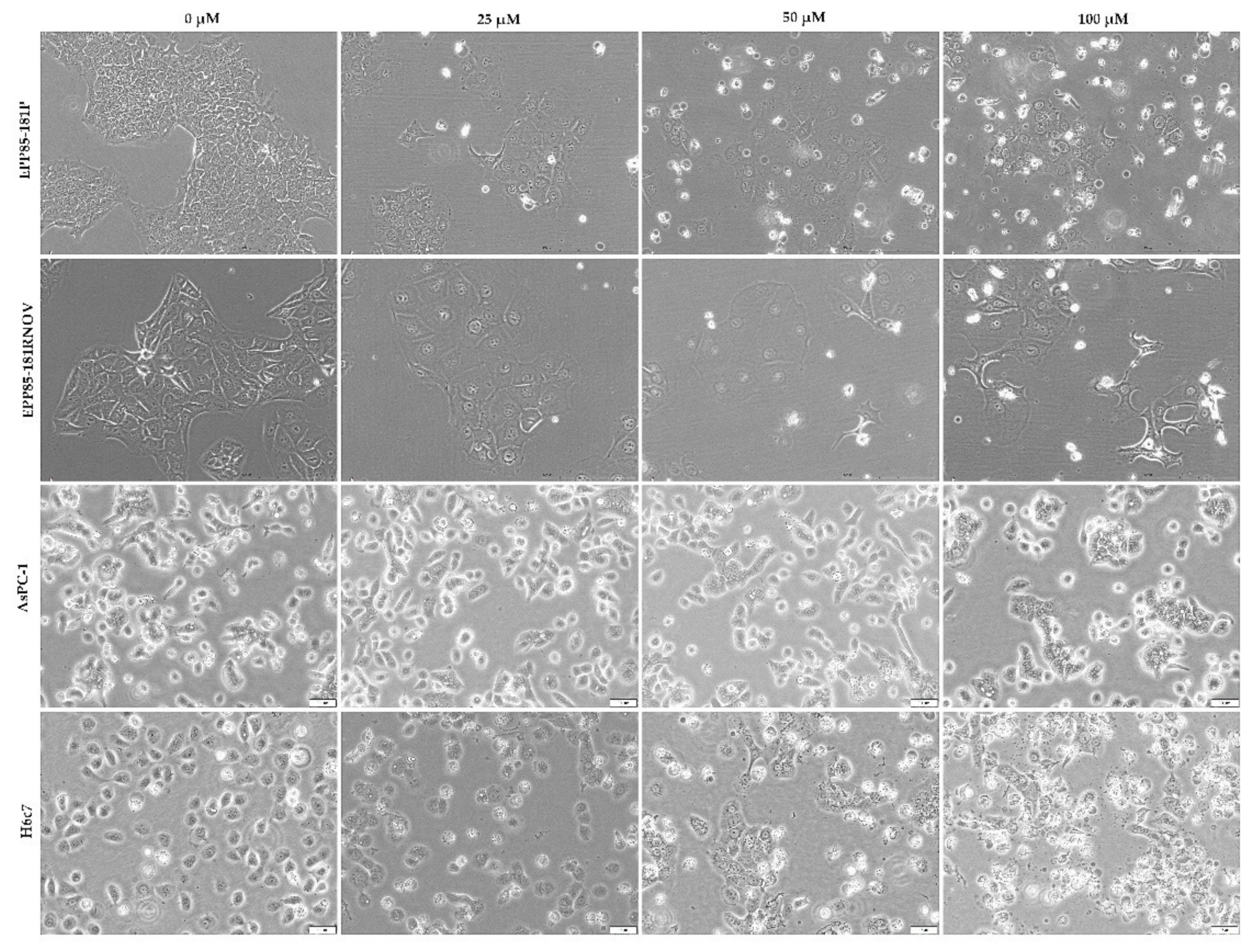 Molecules 26 06560 g009