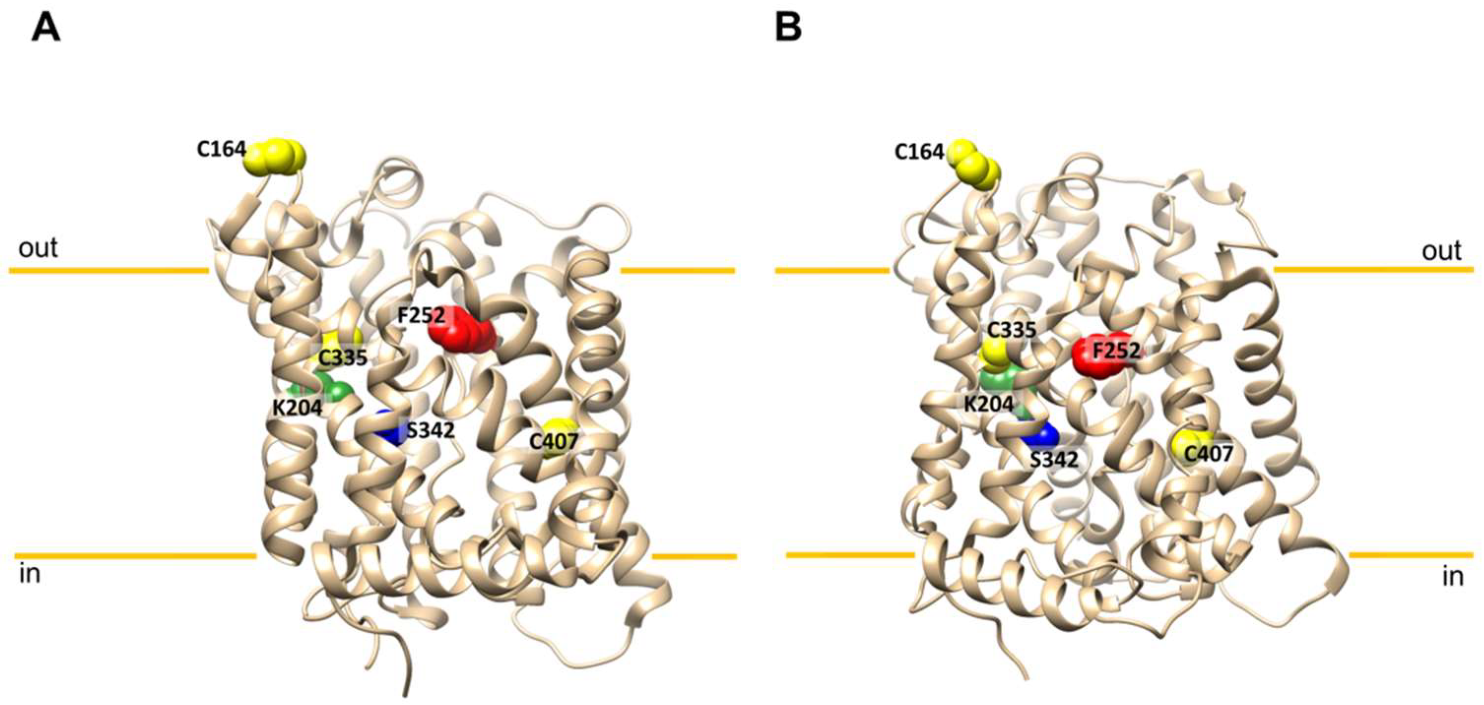 Molecules 26 06562 g001