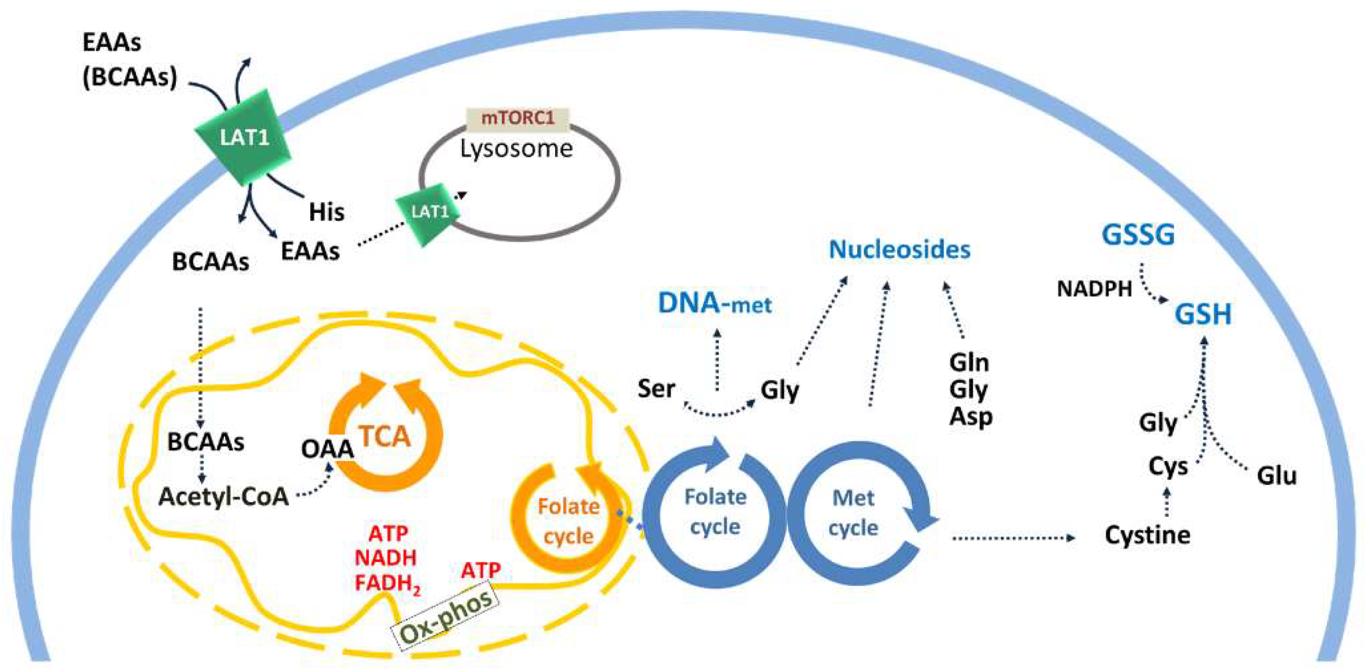 Molecules 26 06562 g002
