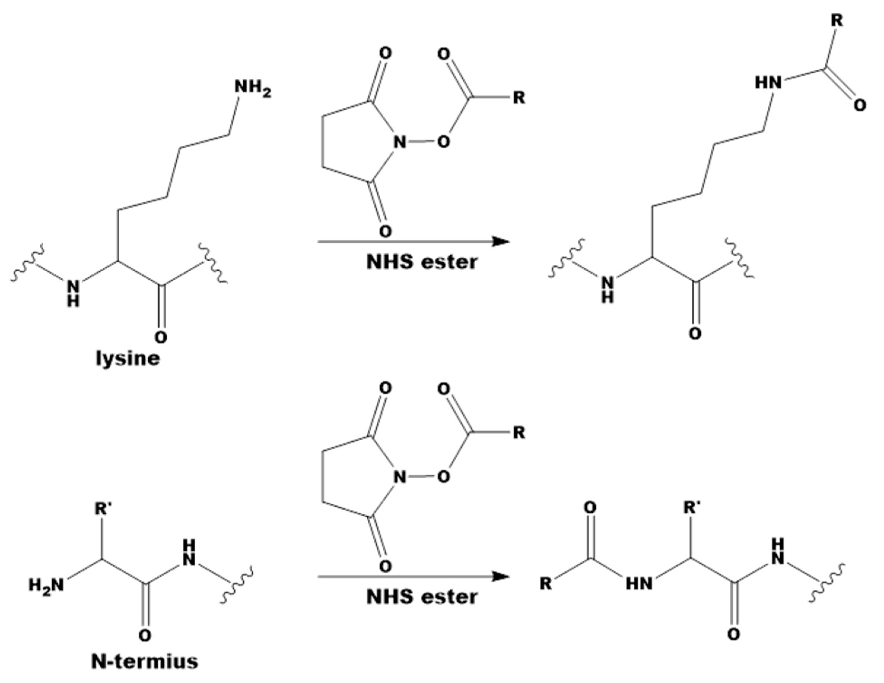 Molecules 26 06564 g001
